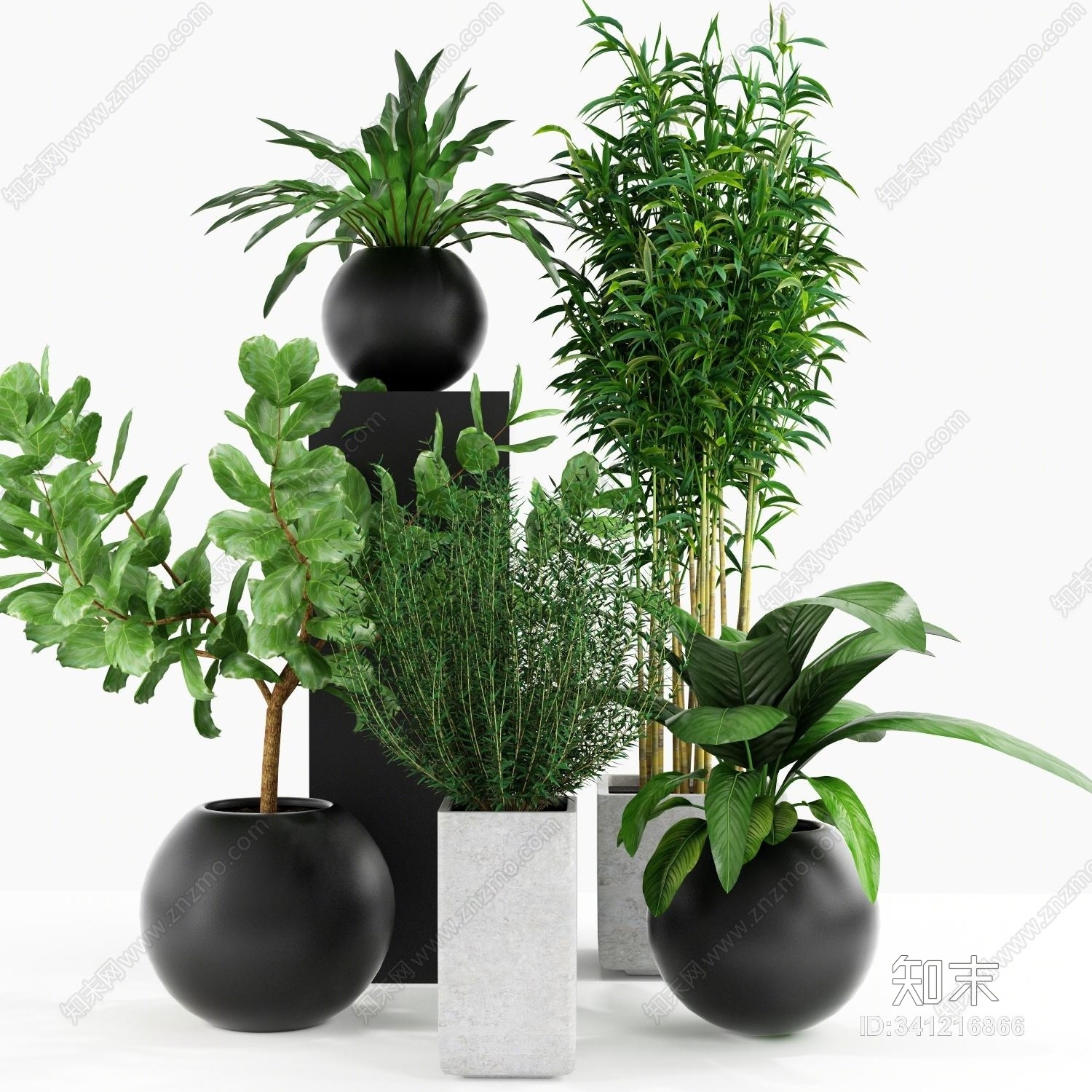 现代绿植模型3D模型下载【ID:341216866】