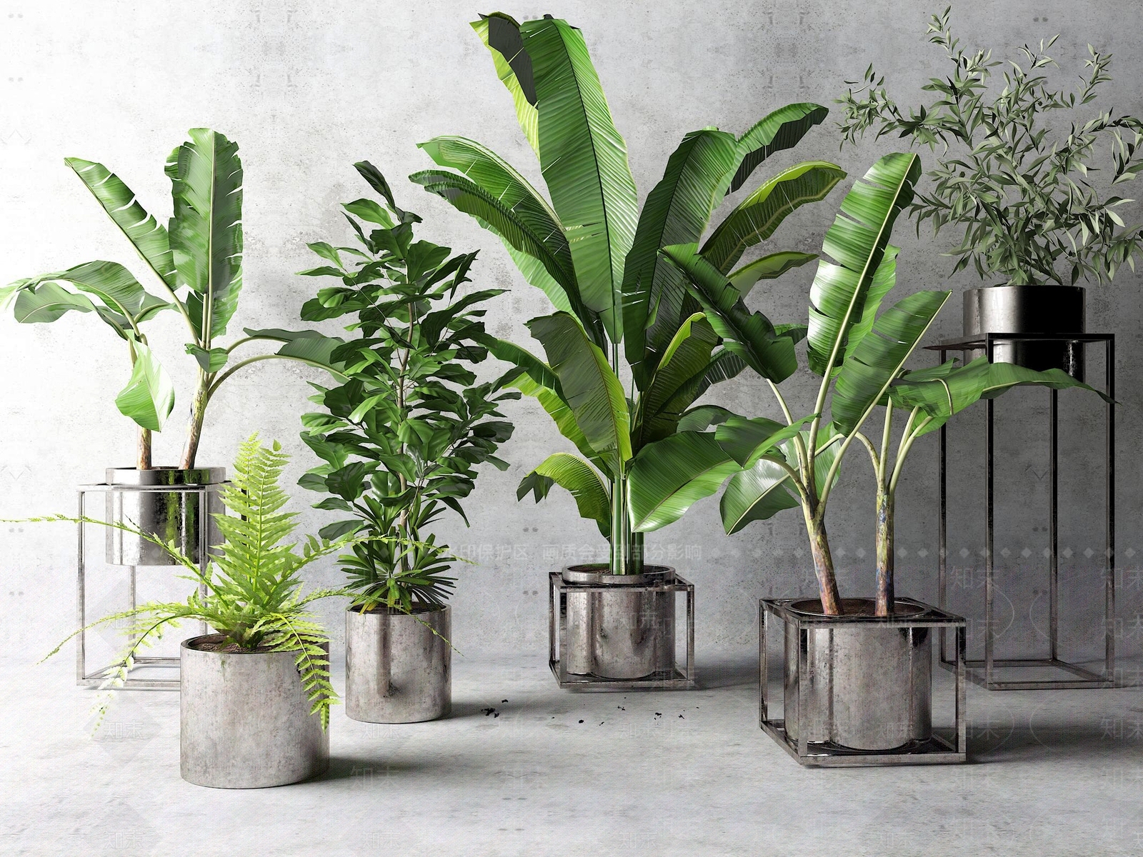 日式植物盆栽户外花草墙挂植物绿植3D模型下载【ID:341224896】