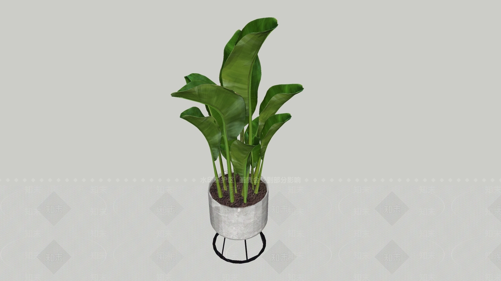 大叶绿色植物SU模型下载【ID:141304870】