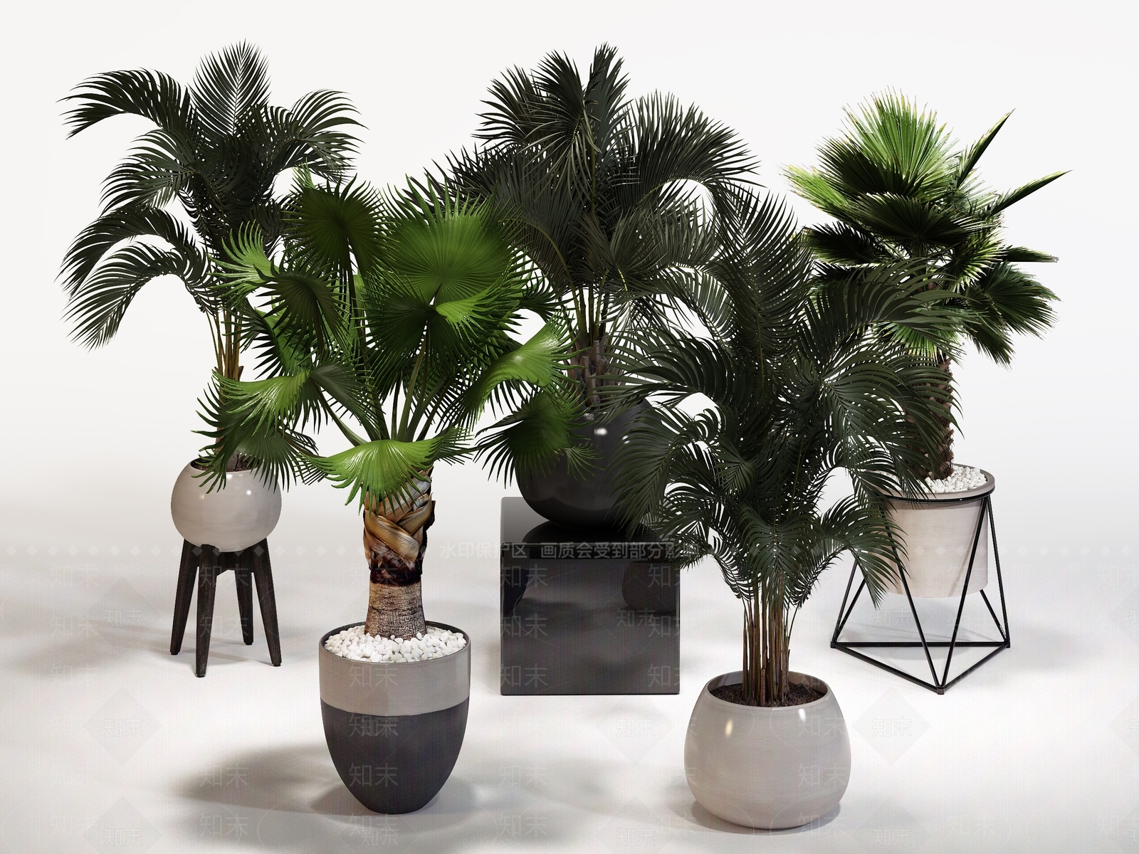 现代室内植物盆景集合3D模型下载【ID:341387893】