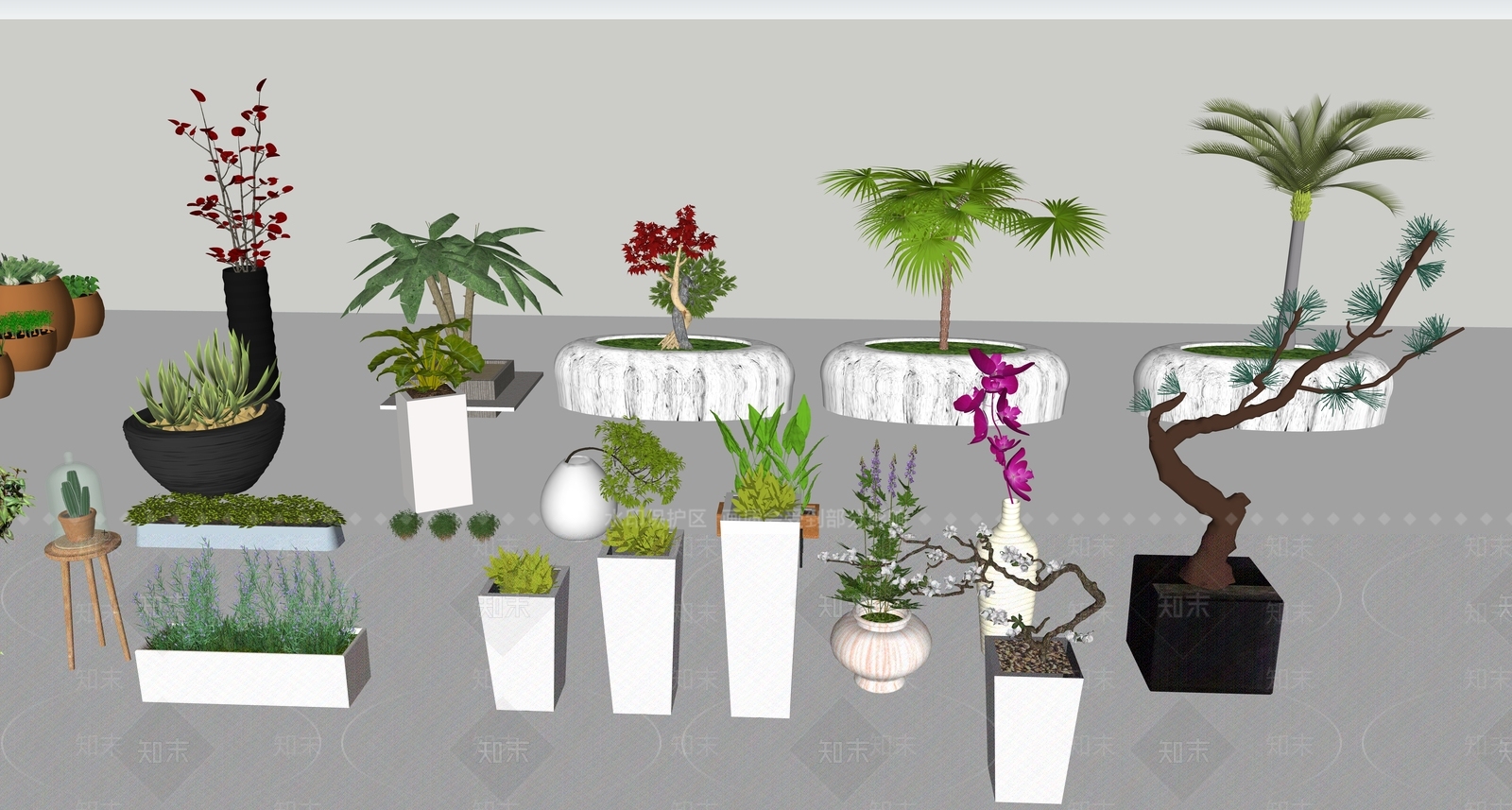 花草树木盆栽绿植SU模型下载【ID:141404895】