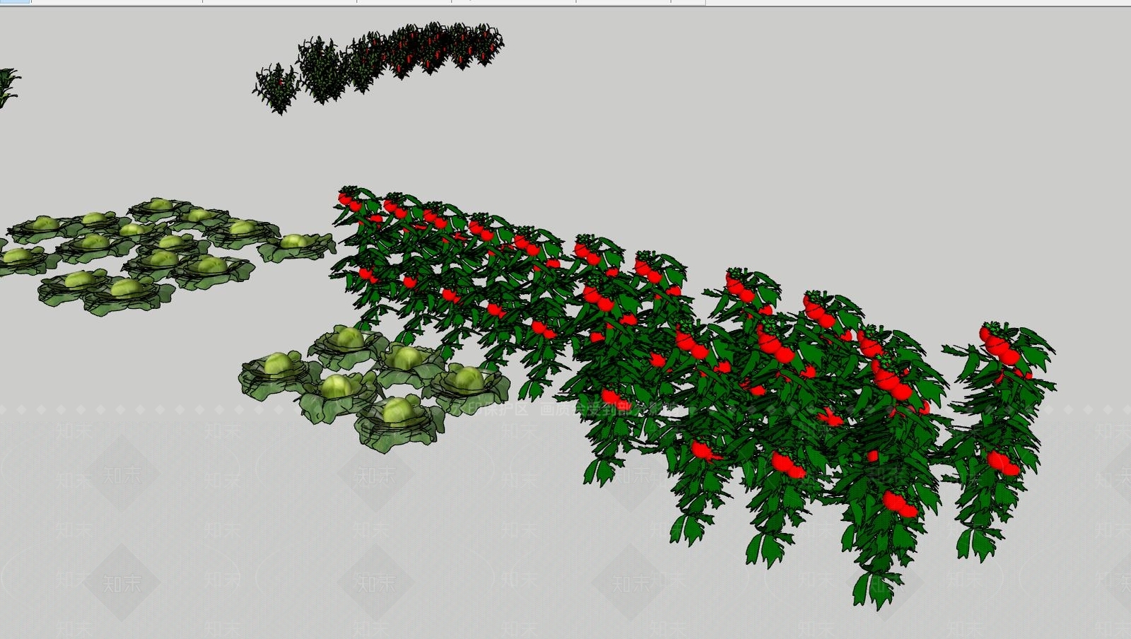 蔬菜地SU模型下载【ID:241422100】