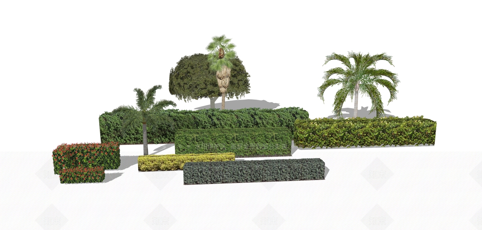 红叶绿篱植物SU模型下载【ID:241559266】