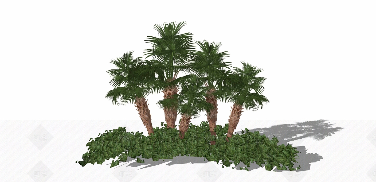 植物热带树种SU模型下载【ID:141563677】