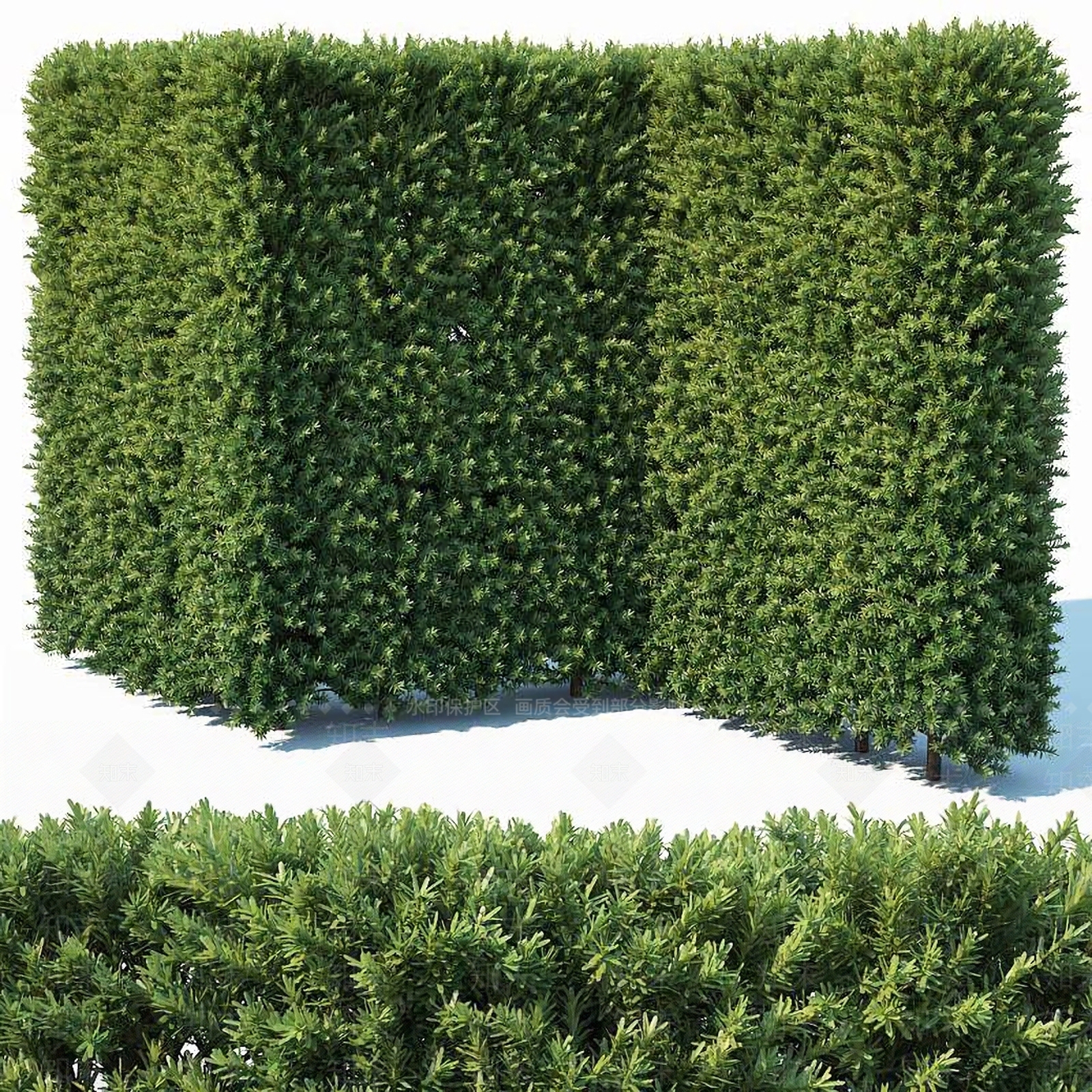 现代篱笆灌木绿篱3D模型下载【ID:241636692】