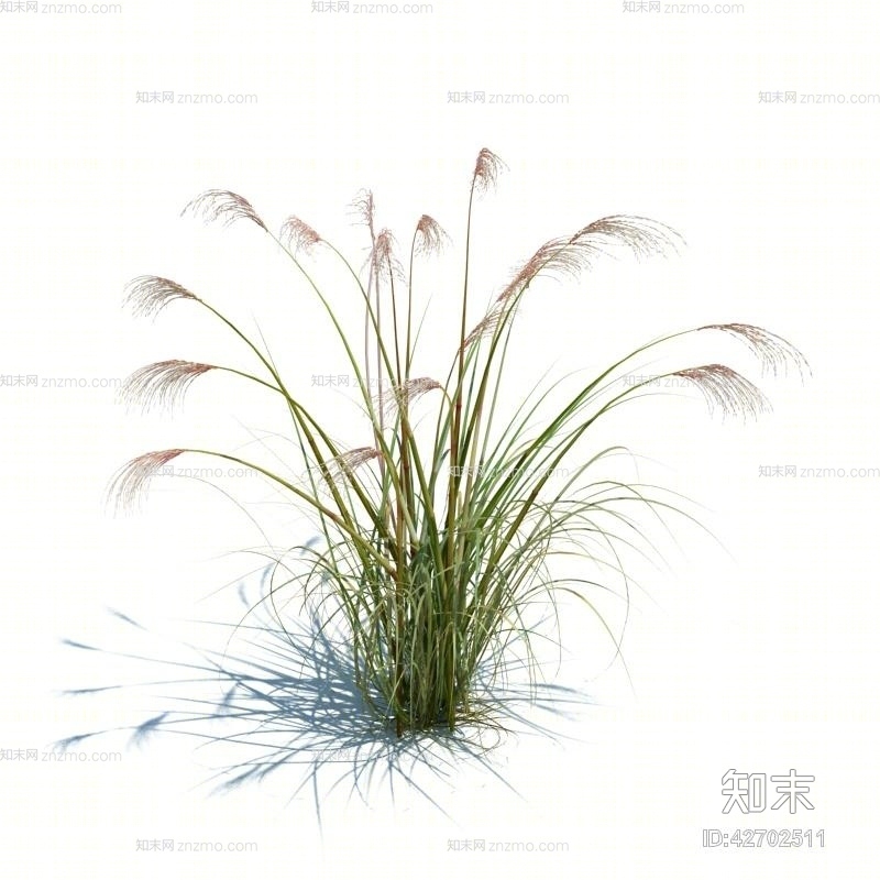 绿色草3D模型下载【ID:42702511】
