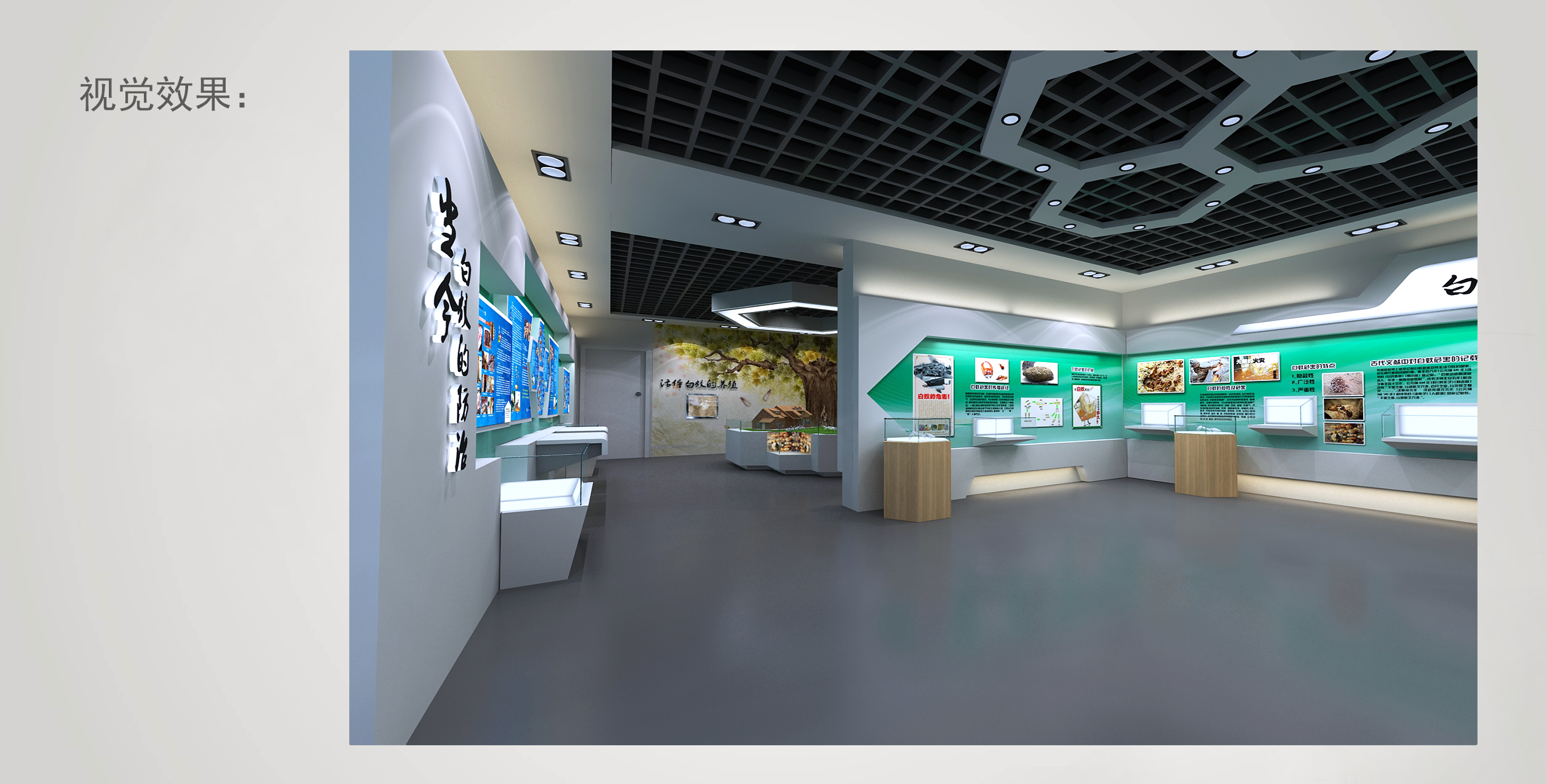 白蚁防治服务中心展厅施工图＋效果图＋PPTcad施工图下载【ID:945430395】