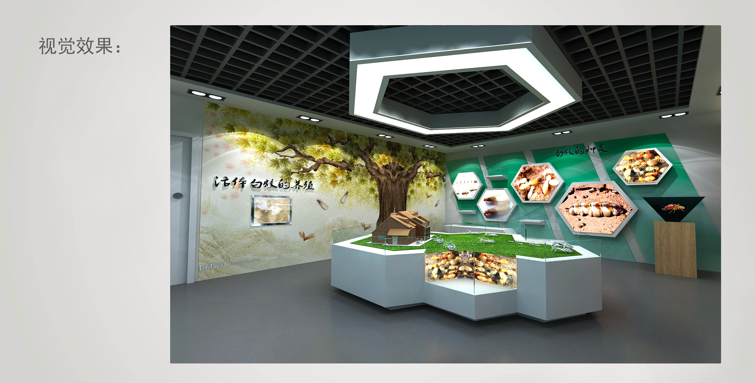 白蚁防治服务中心展厅施工图＋效果图＋PPTcad施工图下载【ID:945430395】