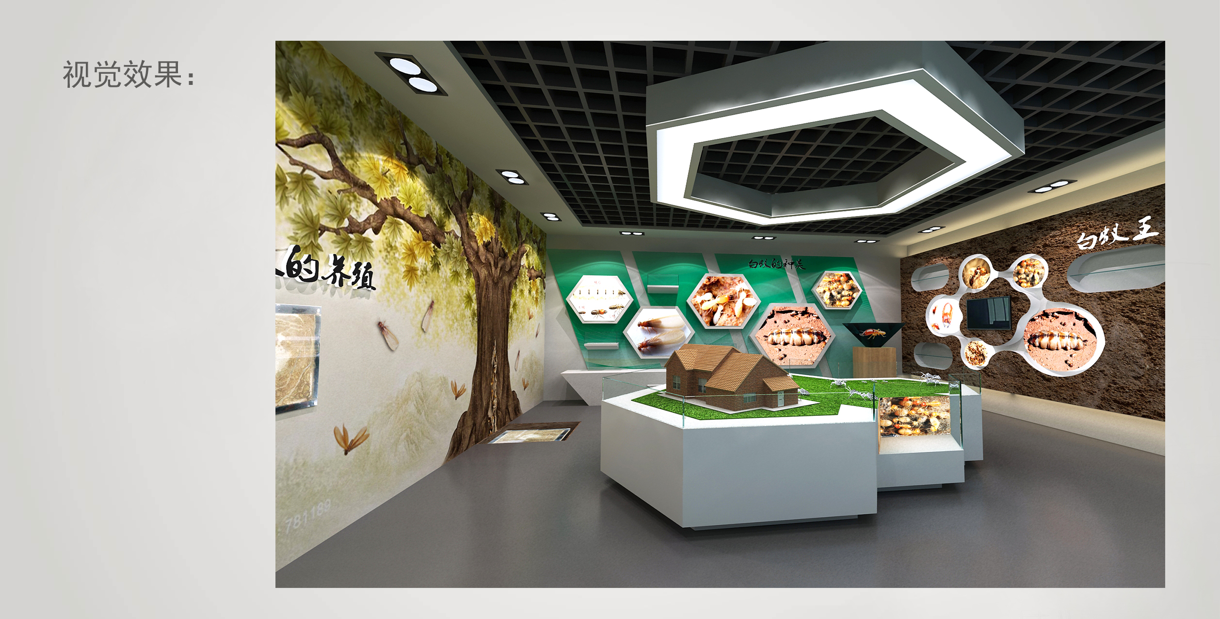 白蚁防治服务中心展厅施工图＋效果图＋PPTcad施工图下载【ID:945430395】
