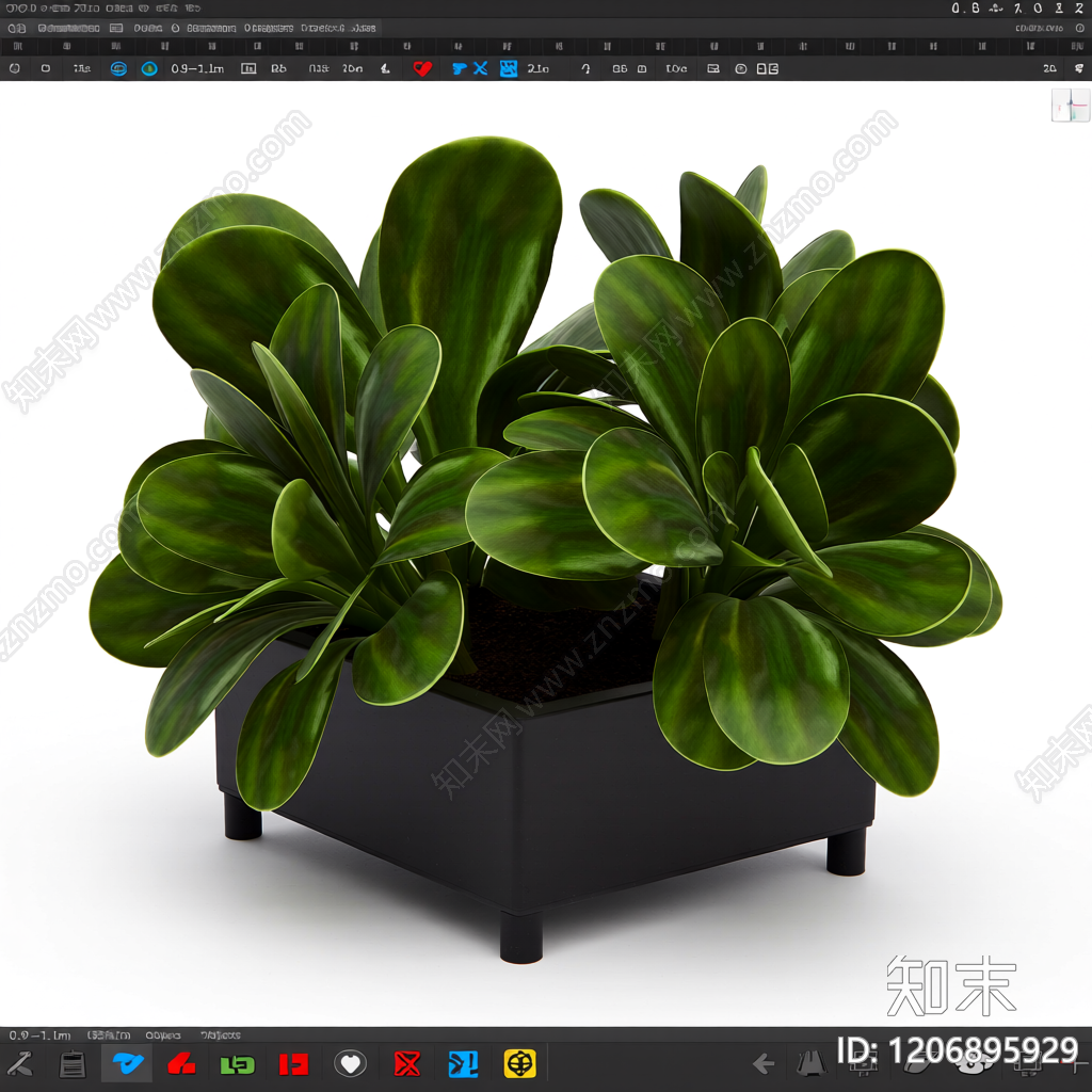 盆栽植物组合3D模型下载【ID:1206895929】
