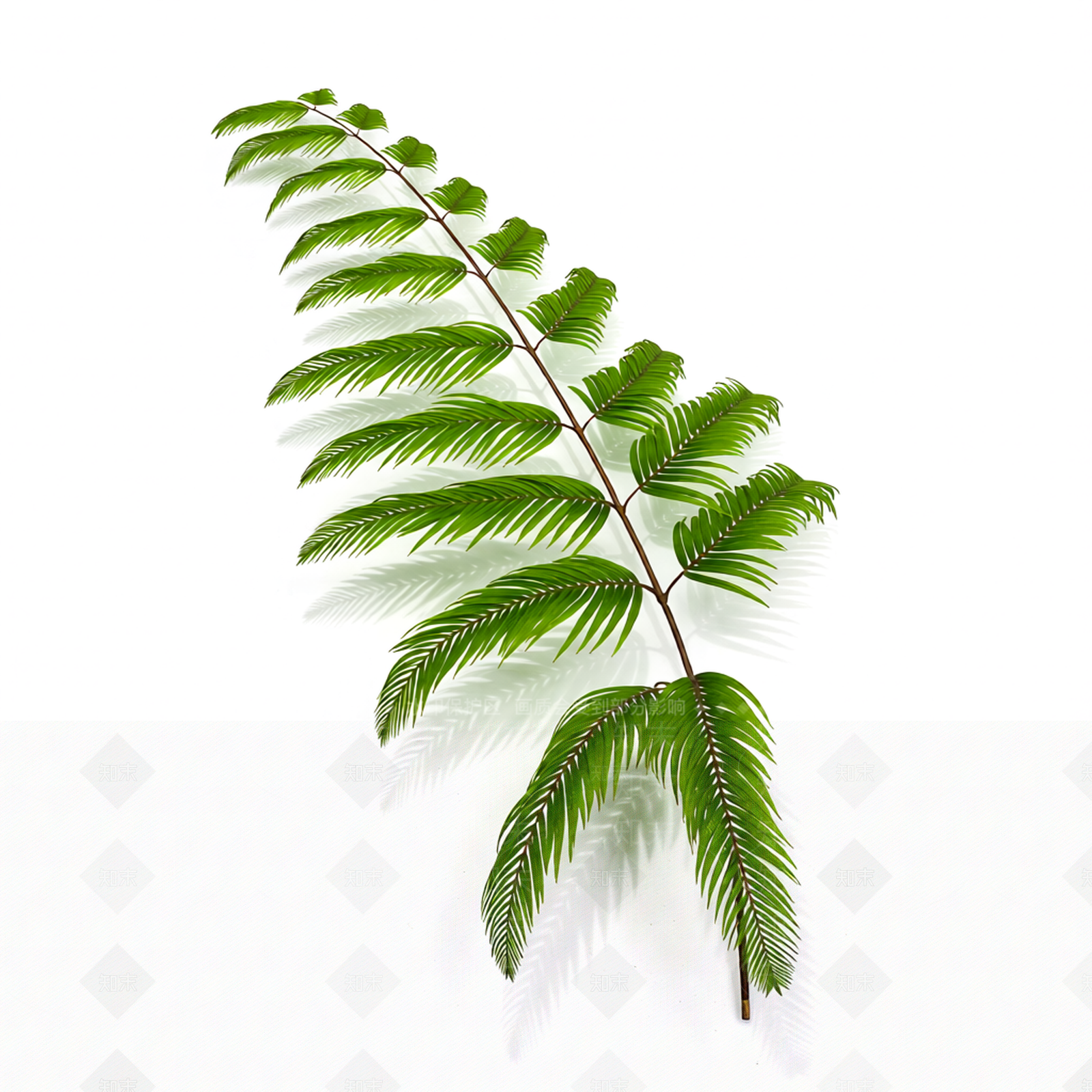 绿色枝叶植物模型3D模型下载【ID:1206181914】