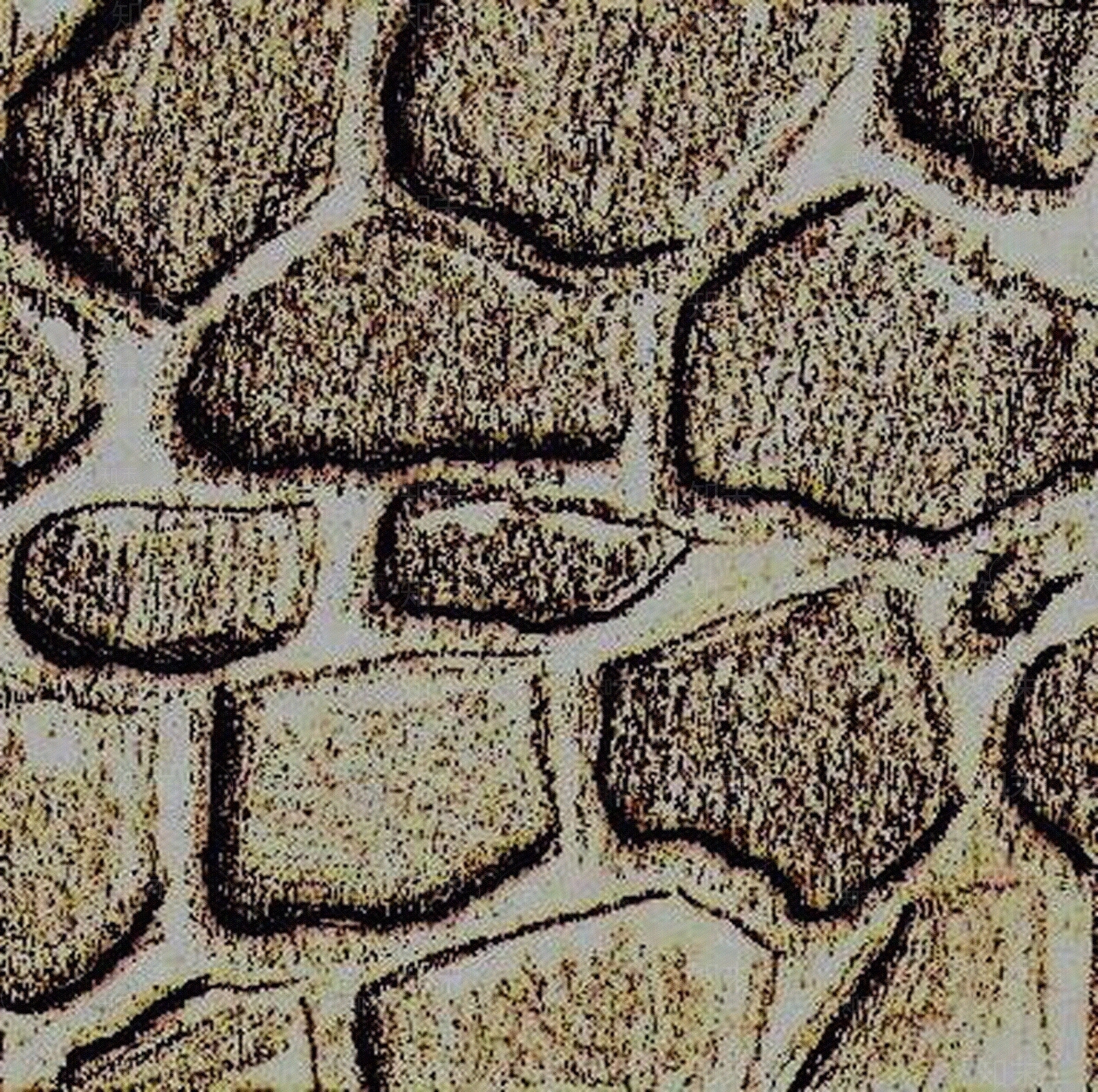 地面铺砖1号贴图下载【ID:451985110】