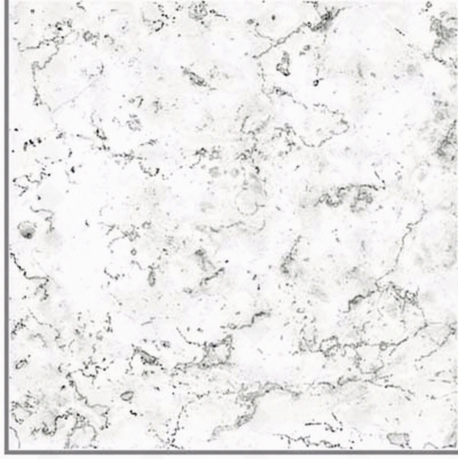 蒙娜丽莎石材贴图下载【ID:452016239】