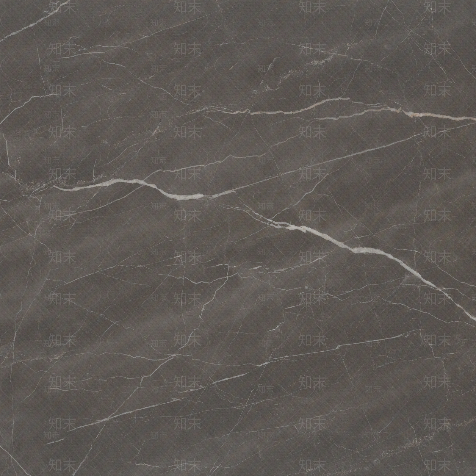 劳伦斯金贴图下载【ID:852024023】