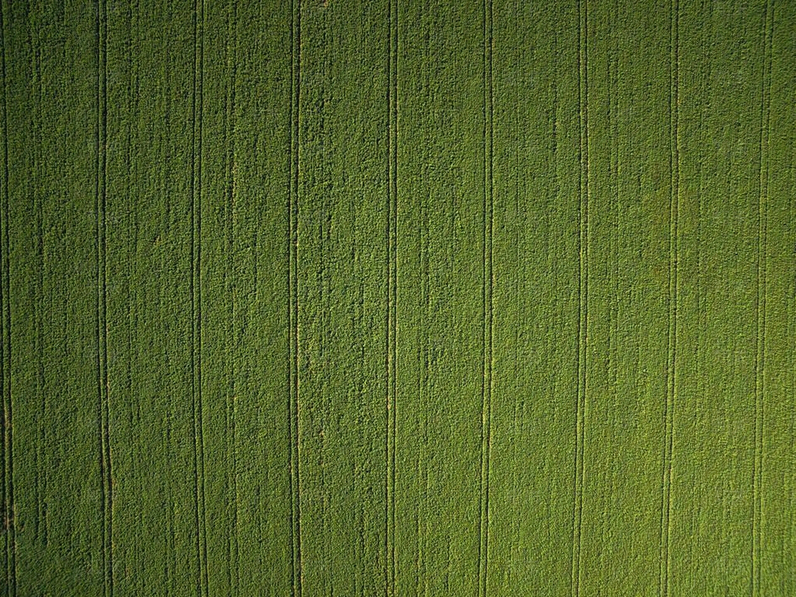 乡村农田贴图下载