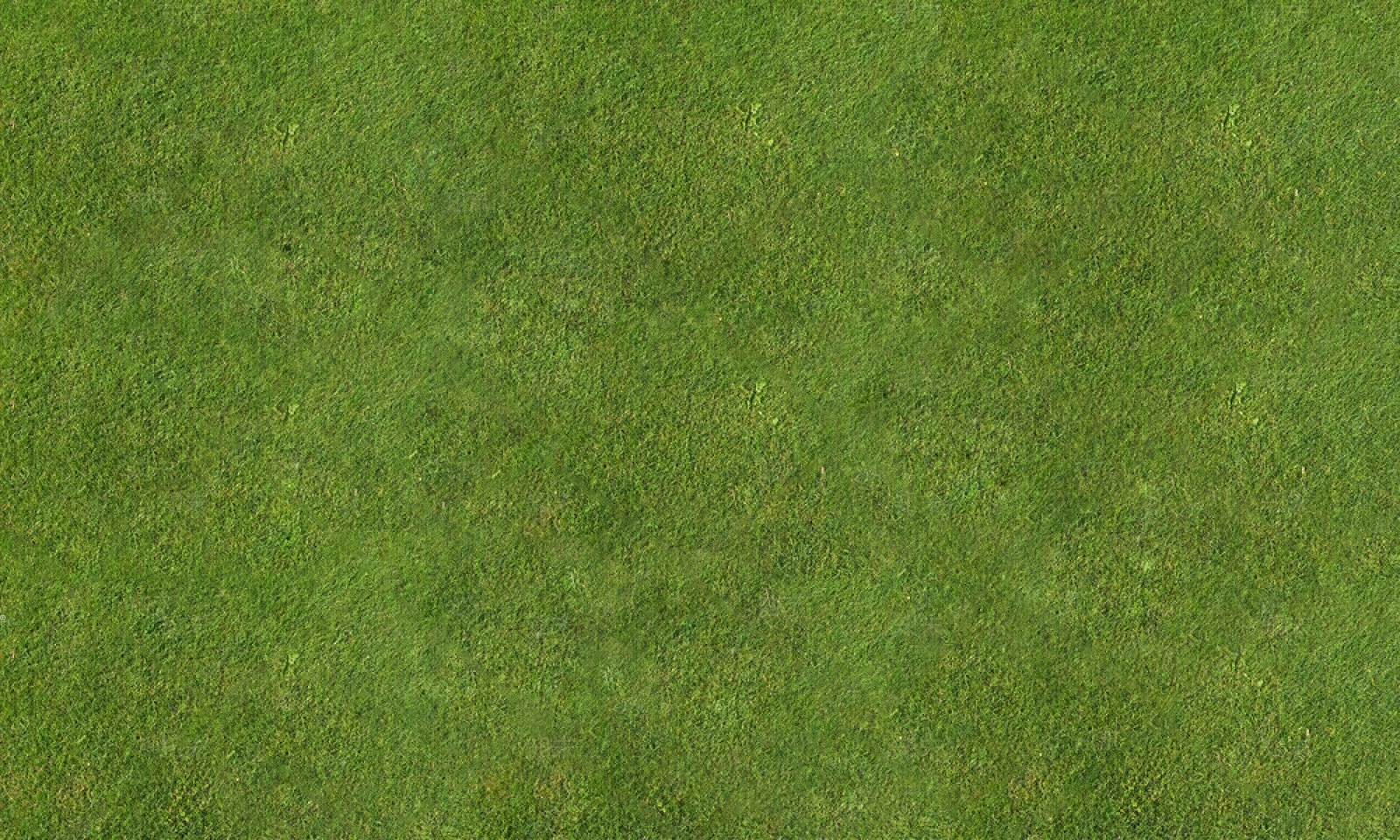 草皮贴图下载【ID:252745915】