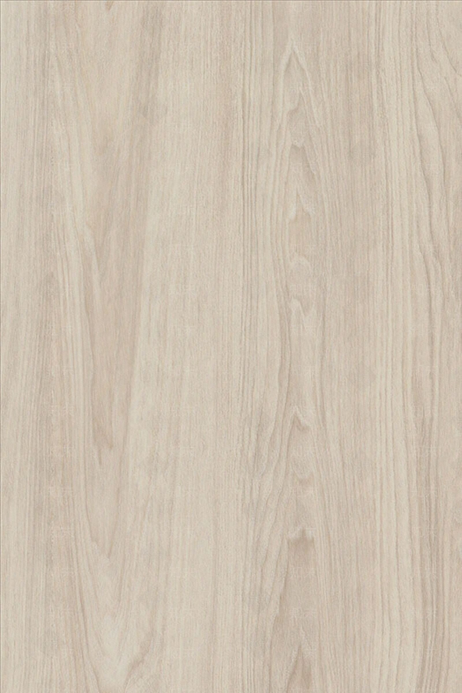 白色榆木贴图下载【ID:752834616】