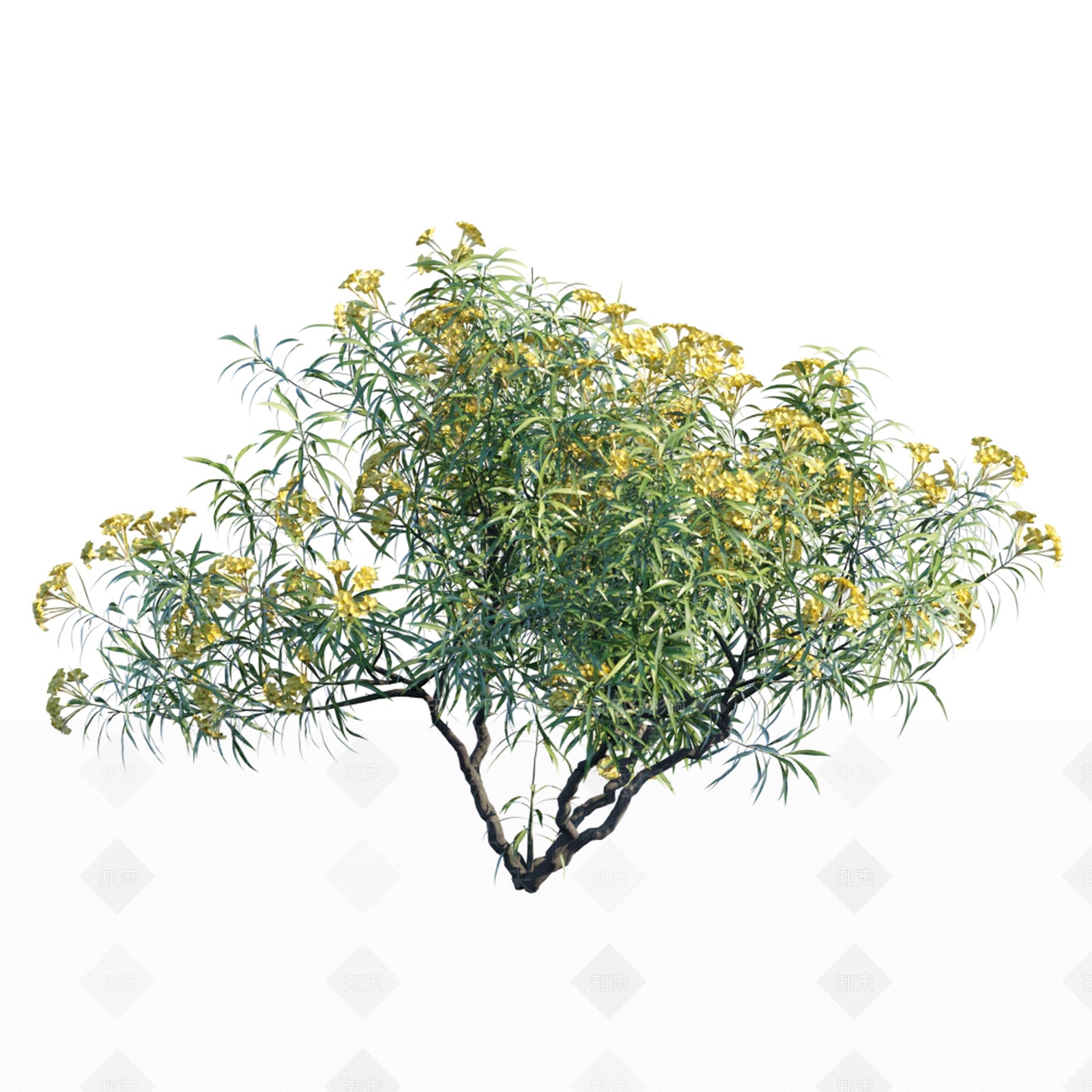 现代灌木3D模型下载【ID:352898593】