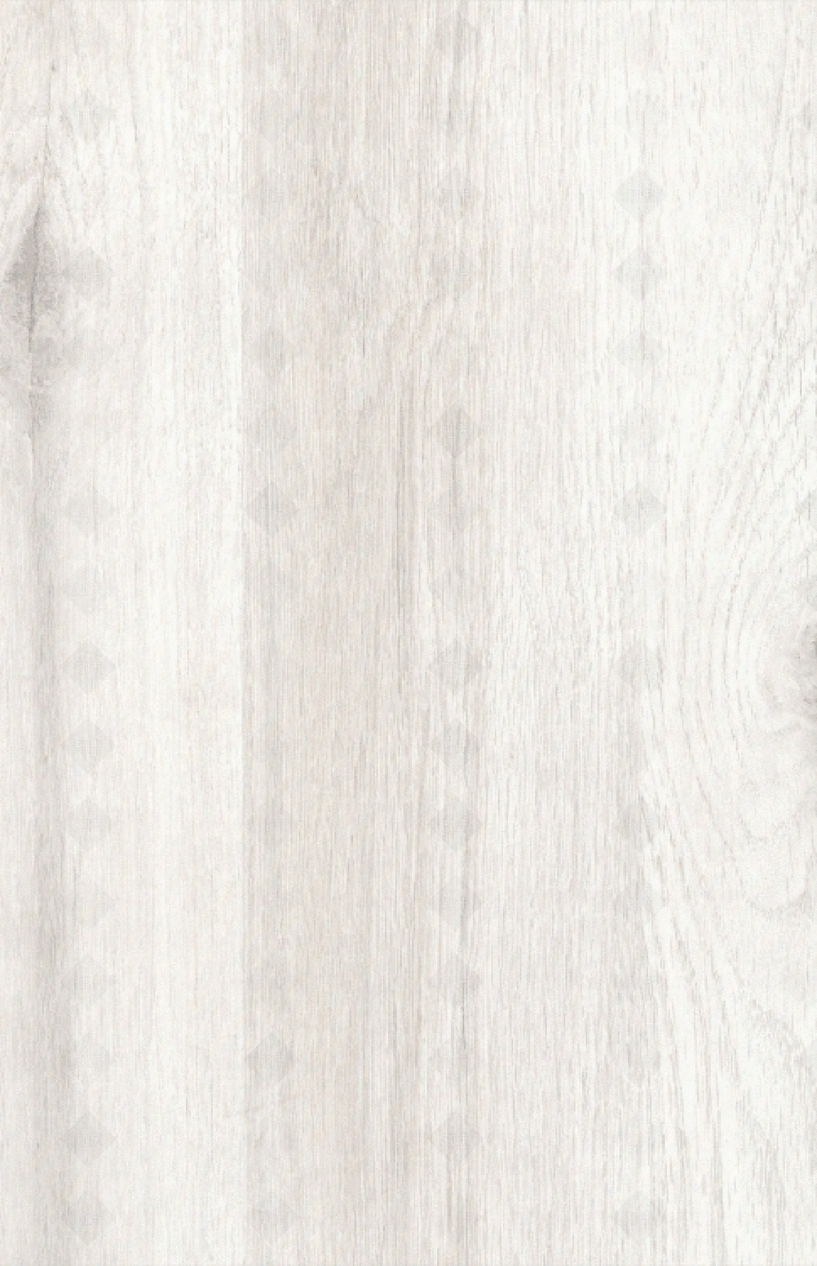 银橡贴图下载【ID:753259610】