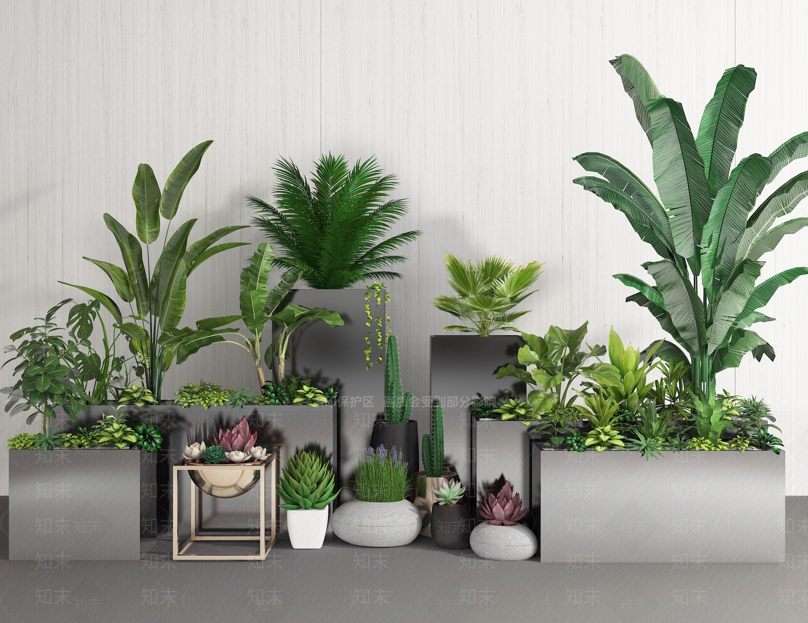 北欧绿植盆栽吊兰万年青富贵竹绿萝3d模型 Id 知末3d模型网