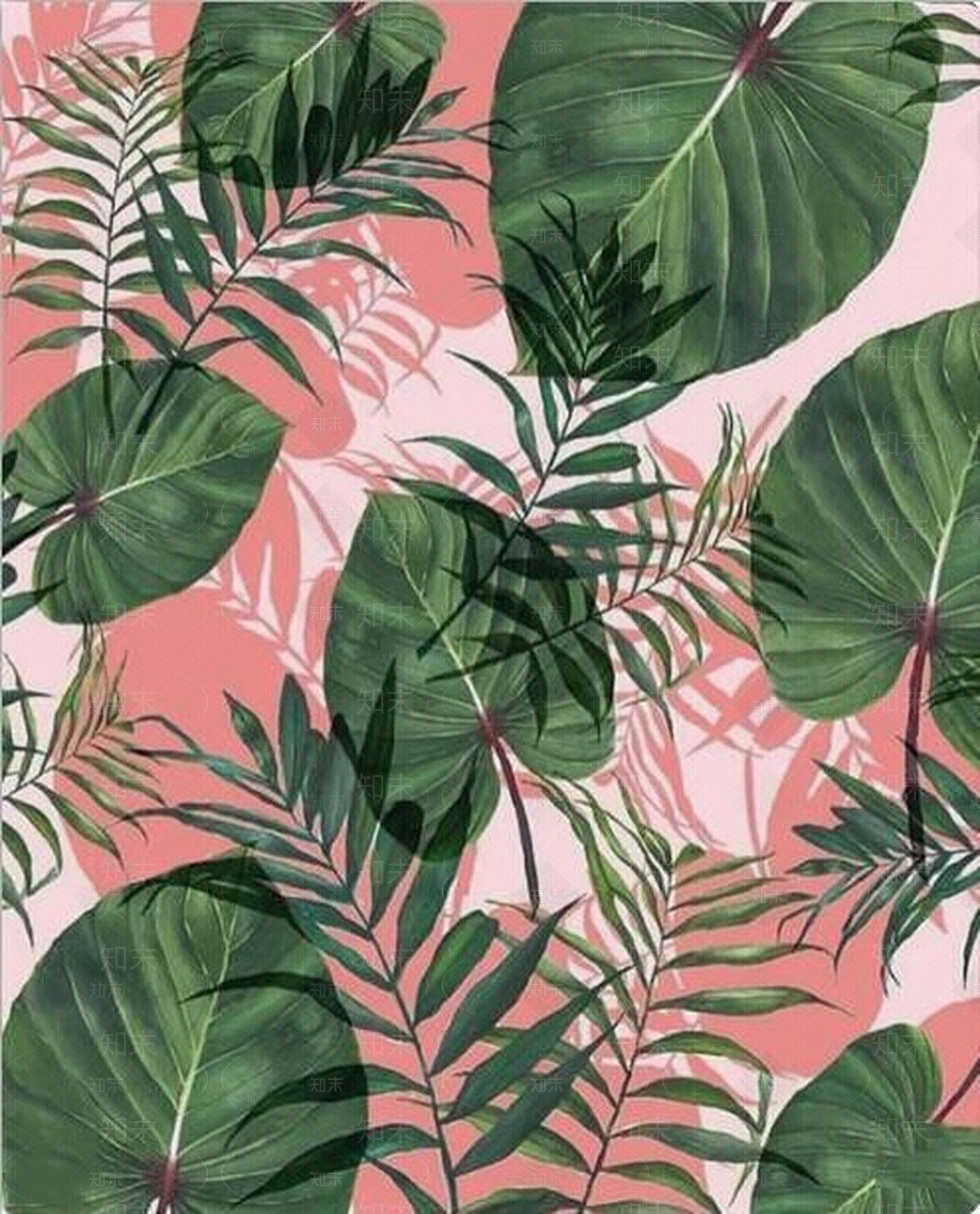 网红棕榈叶粉色壁纸贴图下载【ID:753272762】