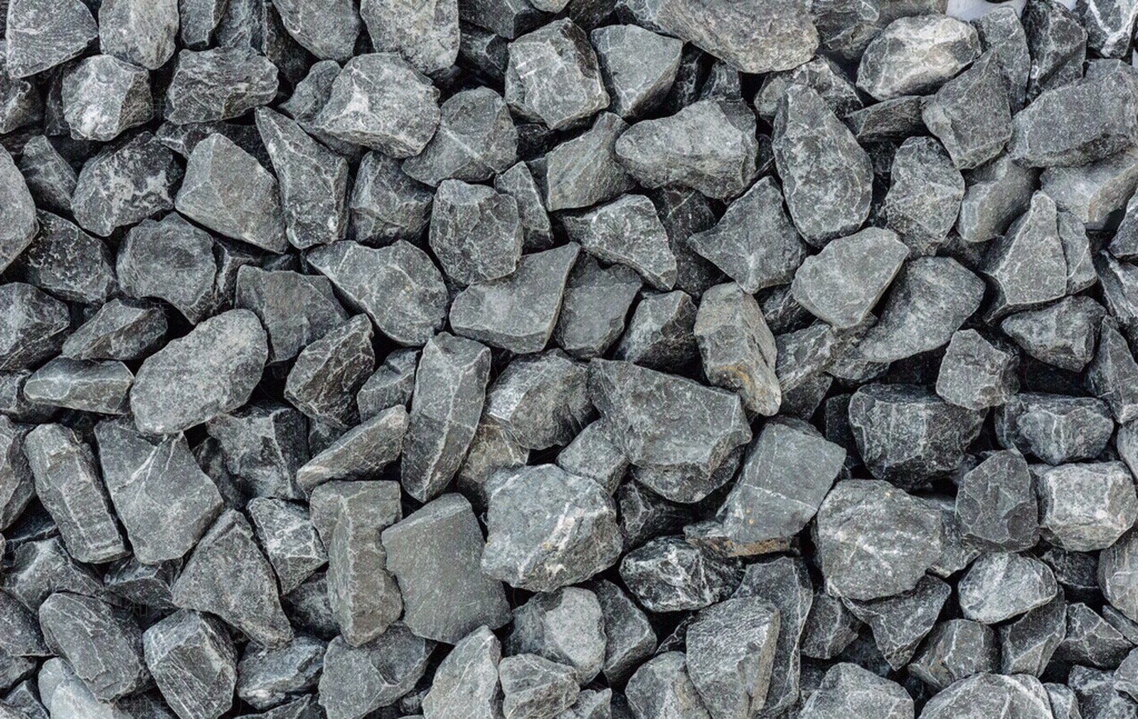 瓜子片贴图下载【ID:953290675】