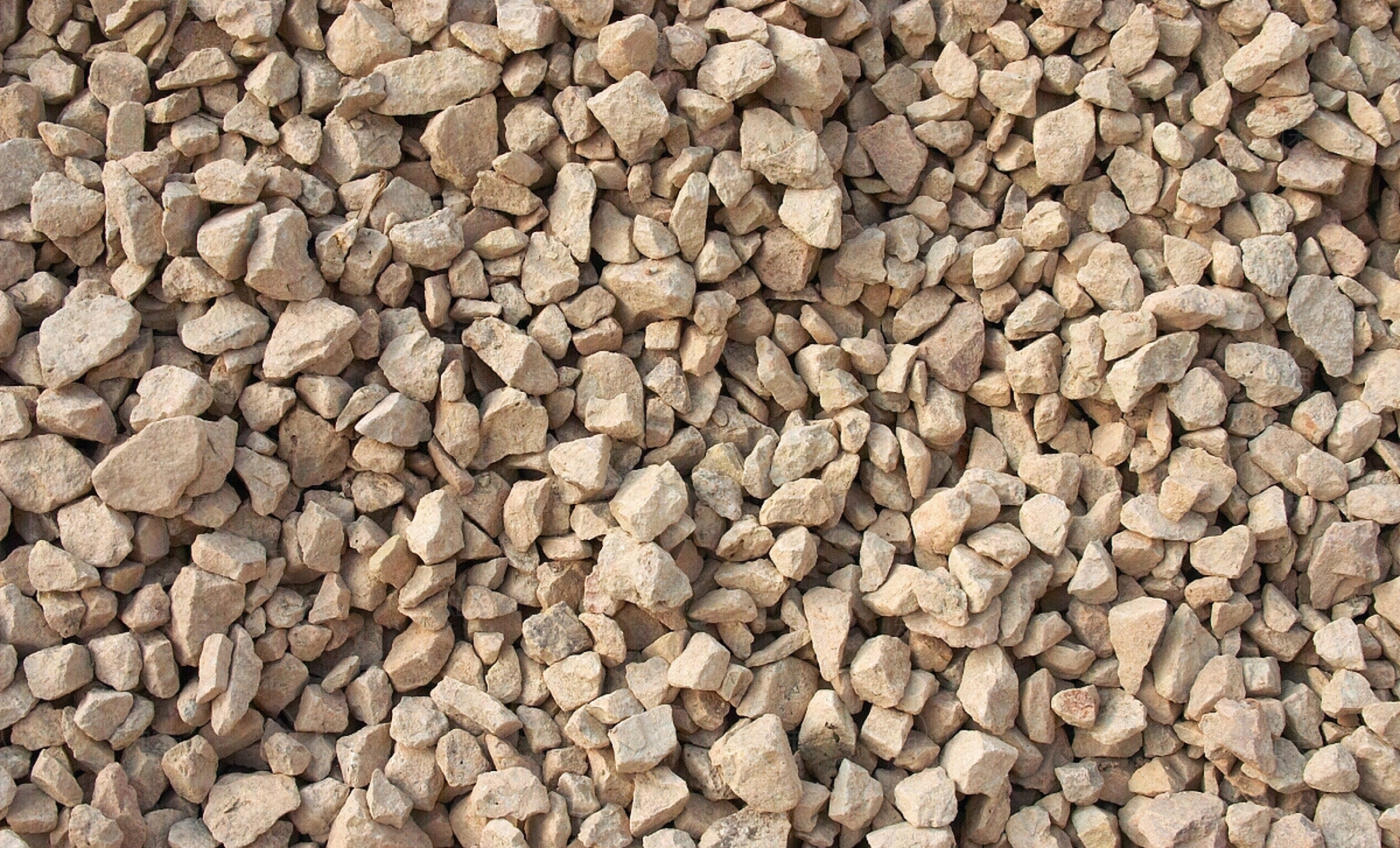 瓜子片贴图下载【ID:953290677】