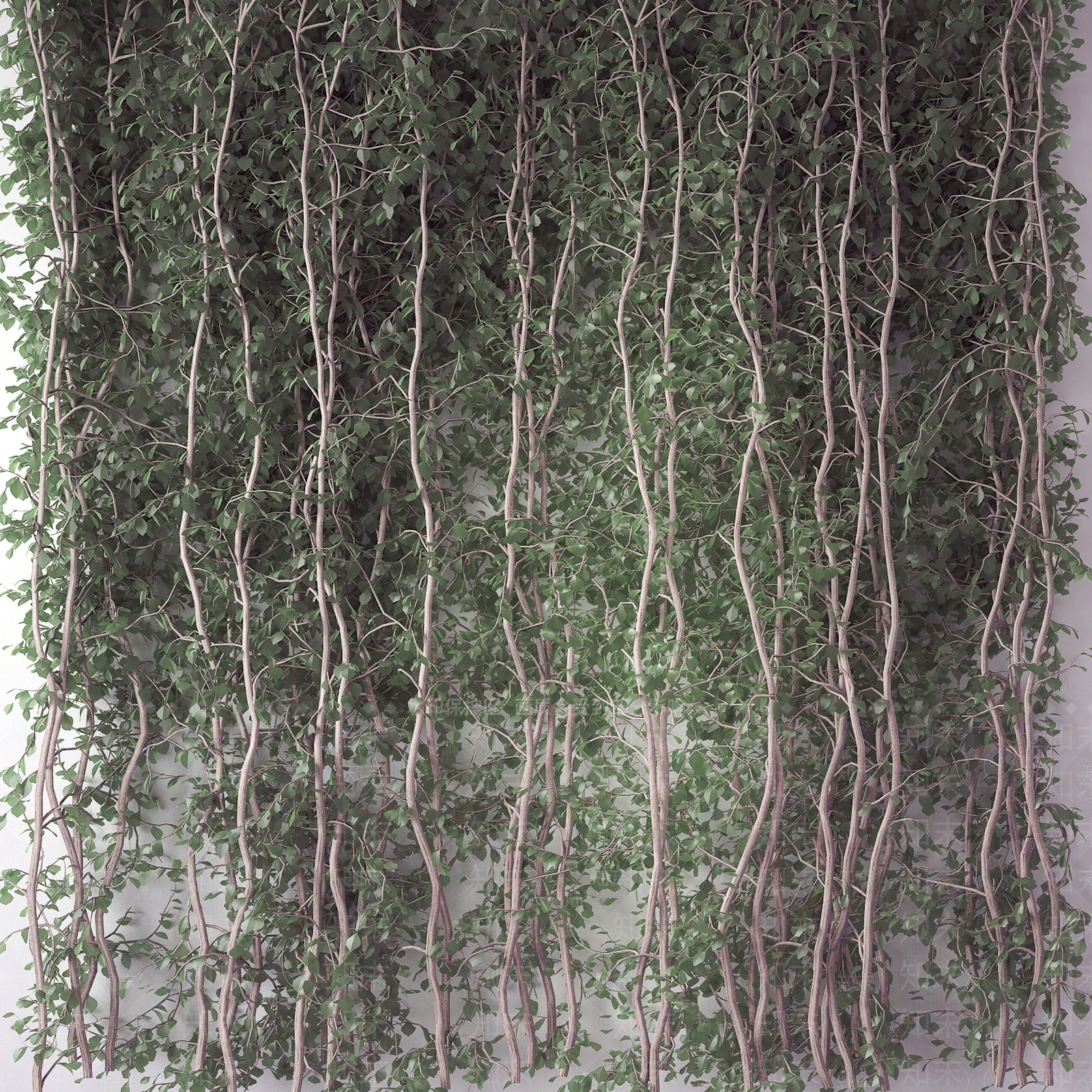 现代植物墙3D模型下载【ID:453292283】