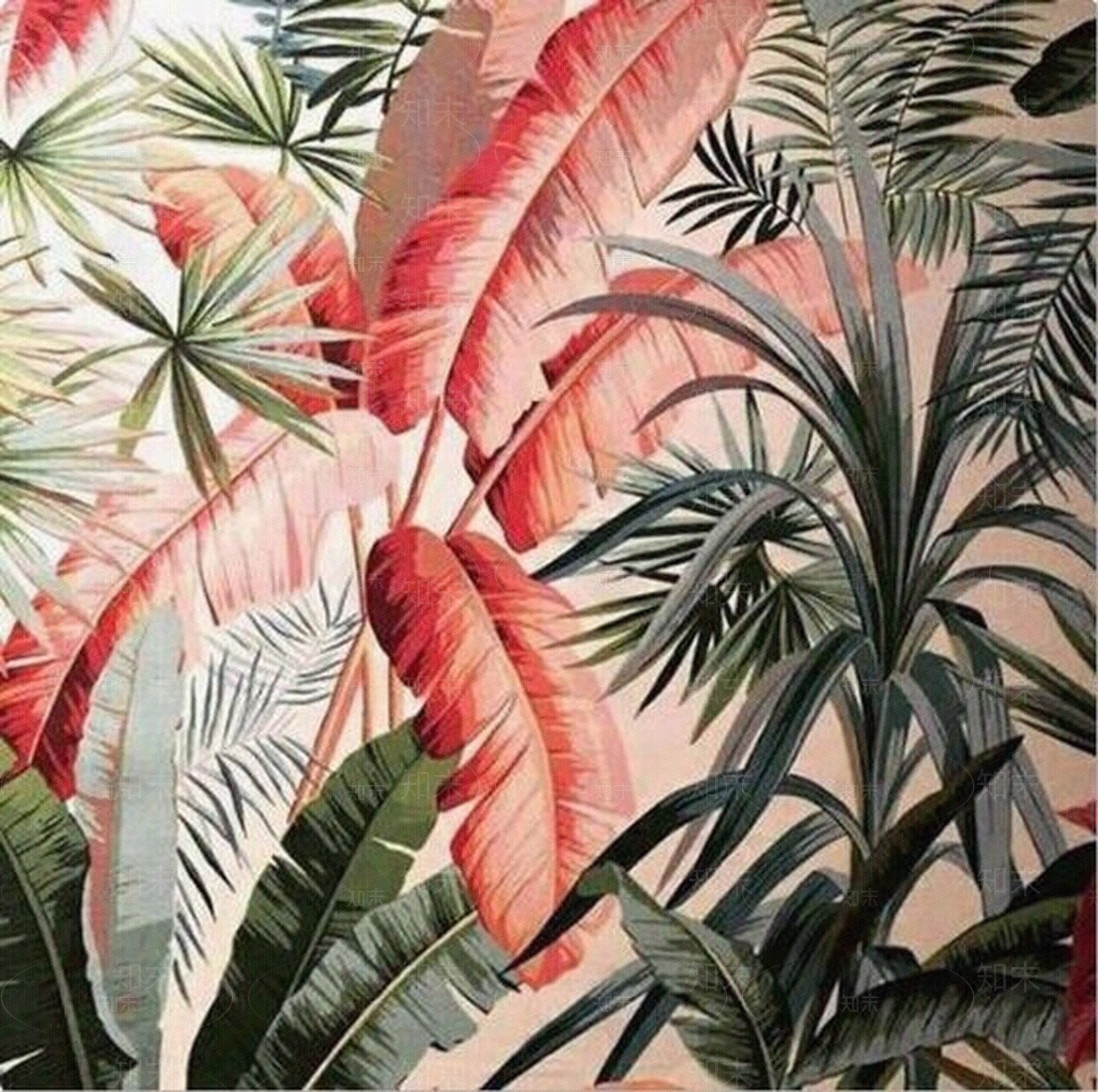 网红棕榈叶粉色壁纸抱枕壁纸贴图贴图下载【ID:753418505】