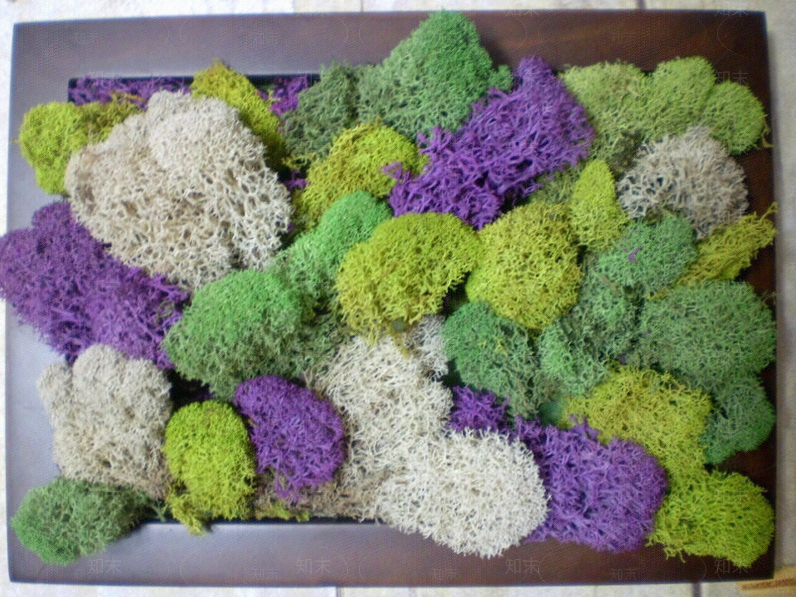 植物墙贴图下载【ID:253441988】