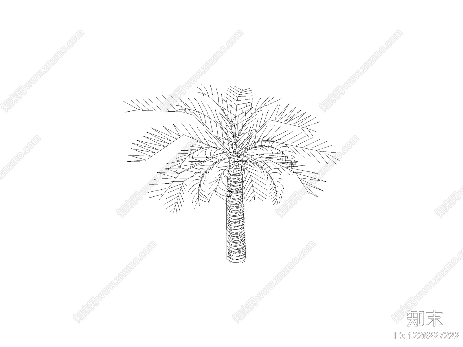 现代乔木种植CAD图纸