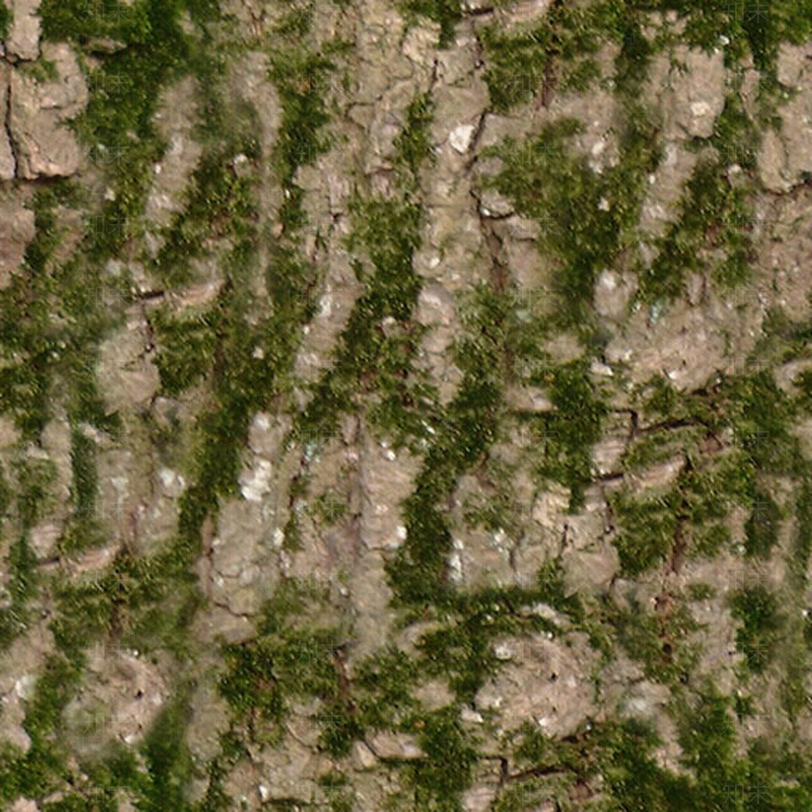 碎石头地面小路贴图下载【ID:953615668】