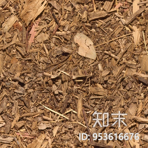 粗糙落叶地面小路贴图下载【ID:953616676】