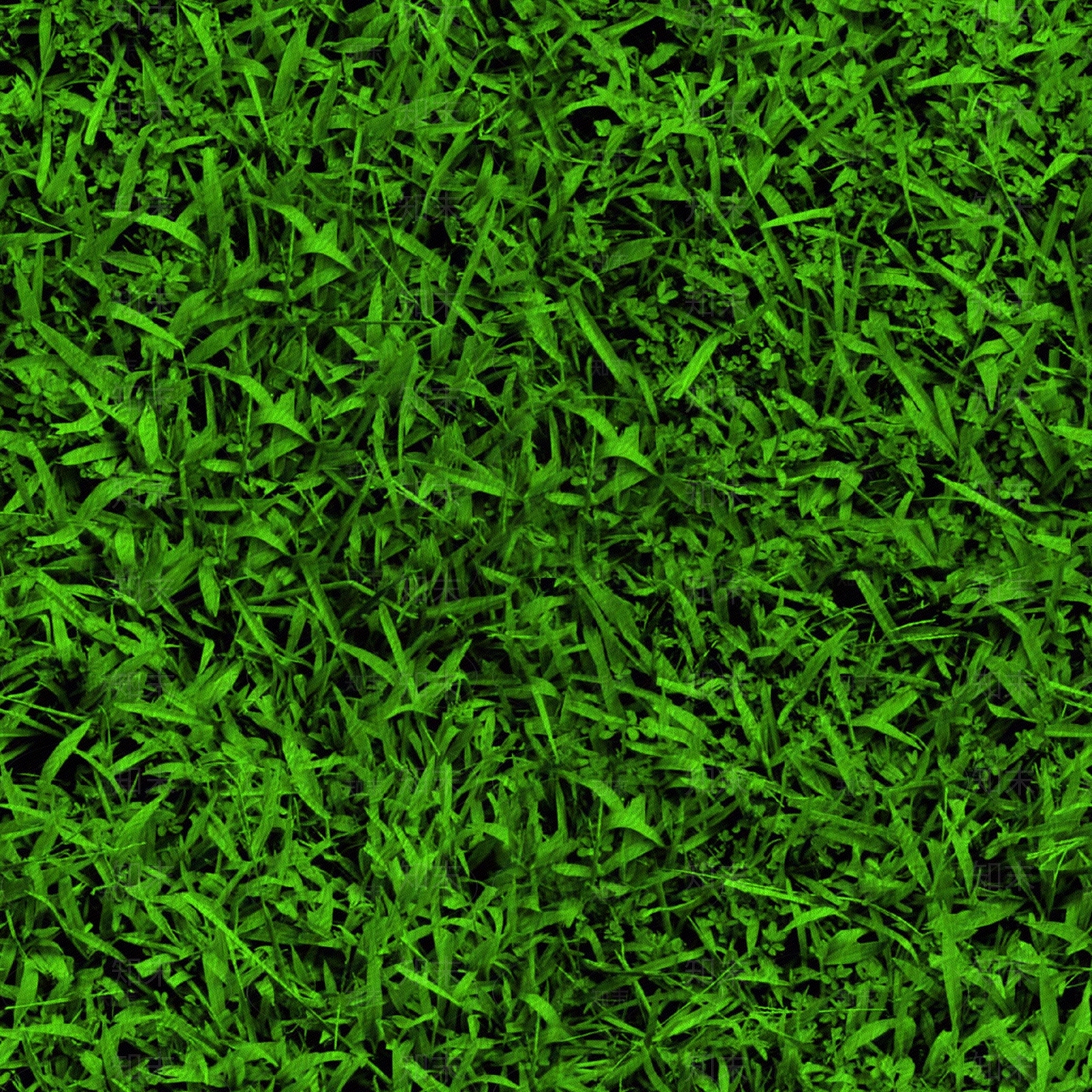 植物草坪贴图下载【ID:253627944】