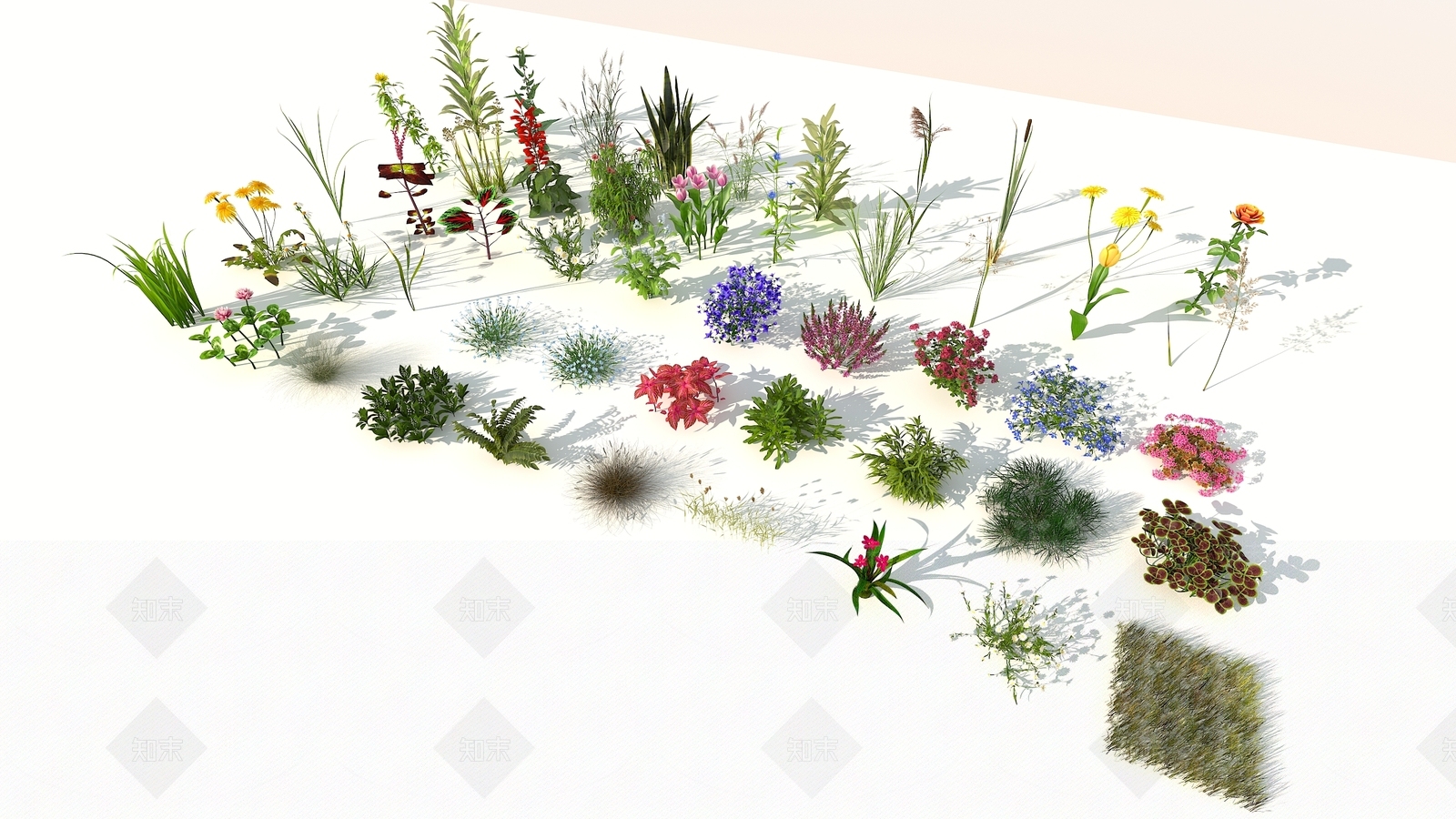 现代花草组合3D模型下载【ID:353639583】