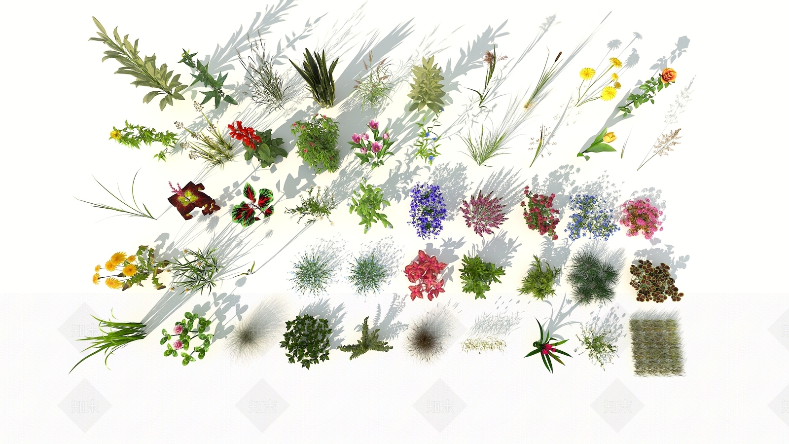 现代花草组合3D模型下载【ID:353639583】