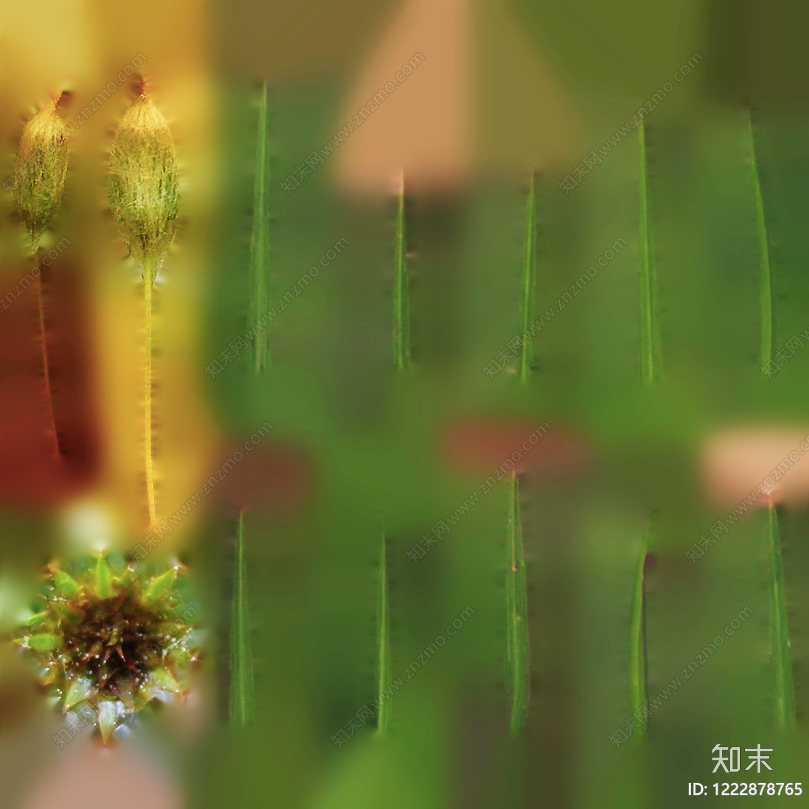 苔藓纹理高清贴图材质