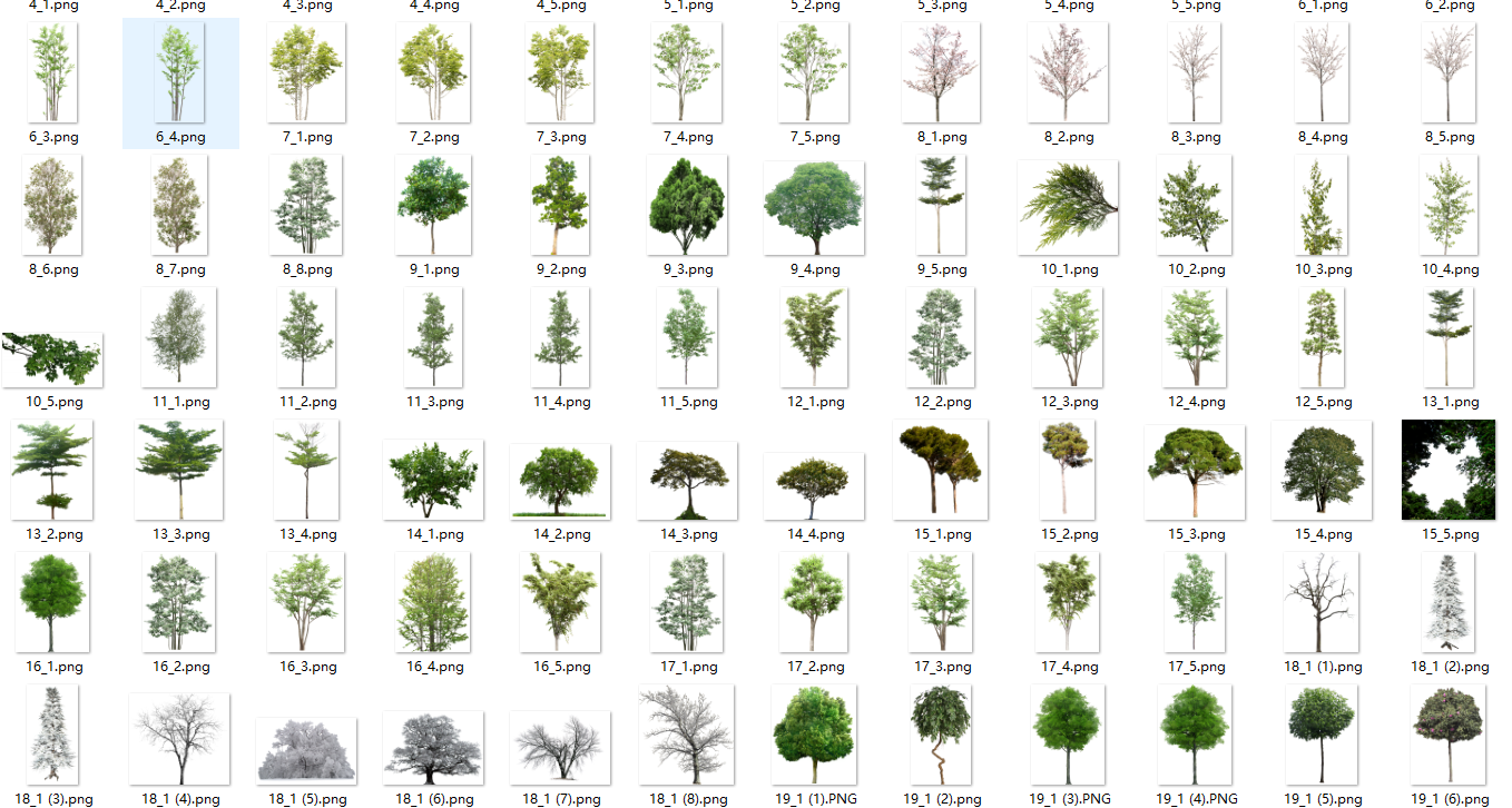 现代境外小清新植物素材超清树集合png格式 453885857 知末资料库
