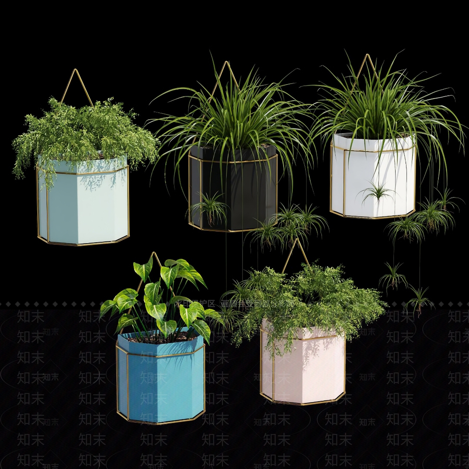 现代吊篮吊兰3D模型下载【ID:254389573】