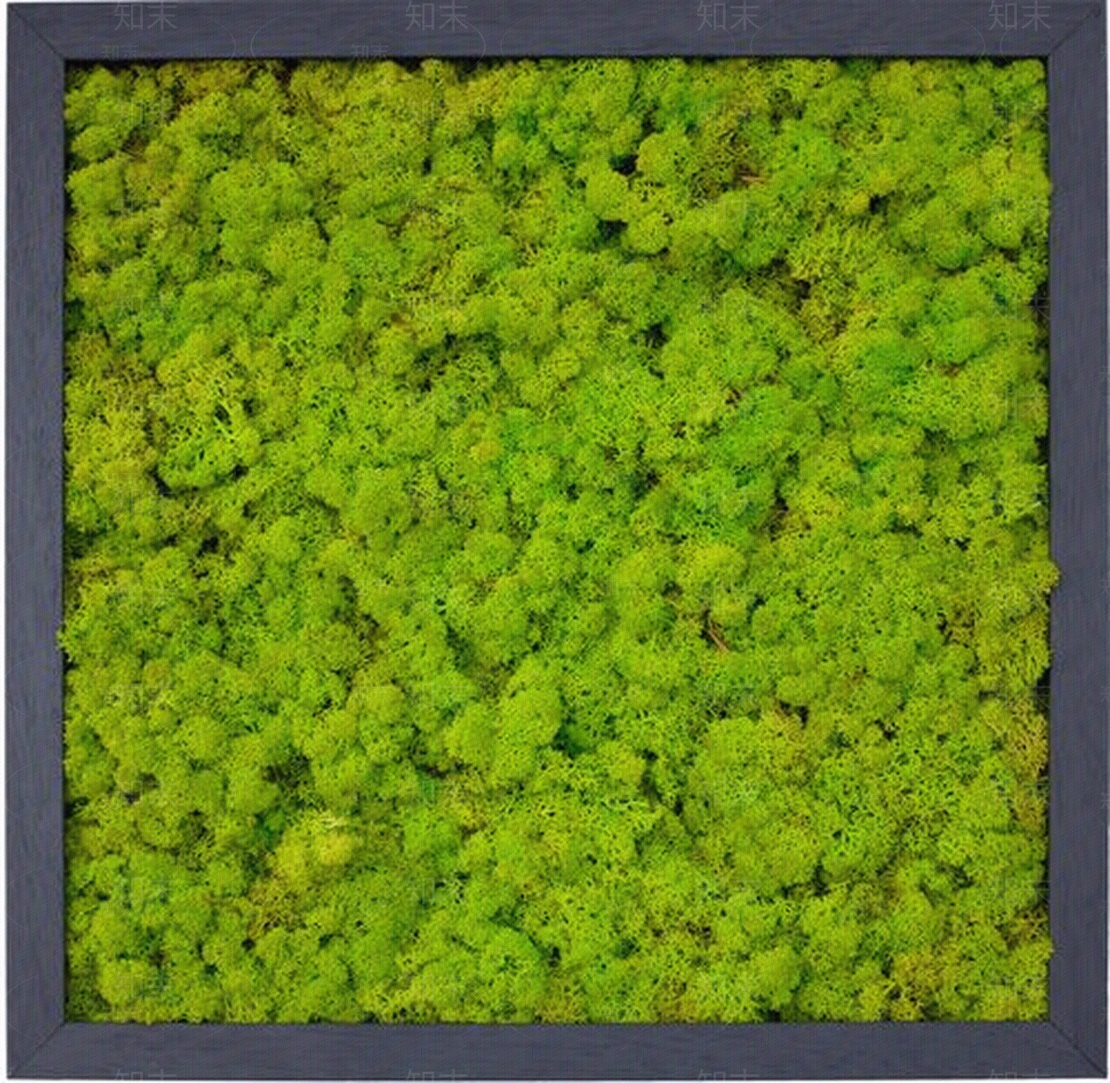 垂直绿化贴图贴图下载【ID:954463336】