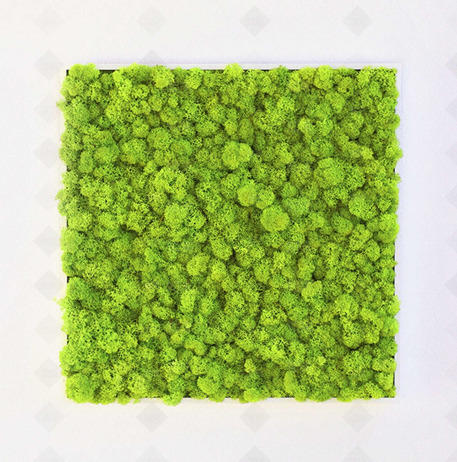 垂直绿化贴图贴图下载