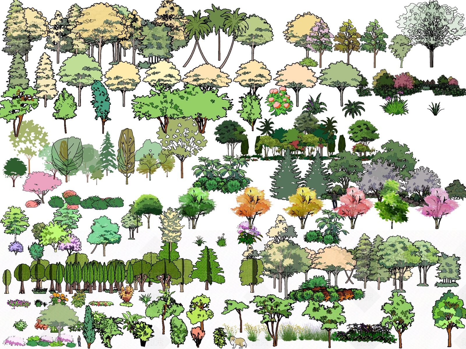 现代风格手绘植物组合SU模型下载【ID:154935637】