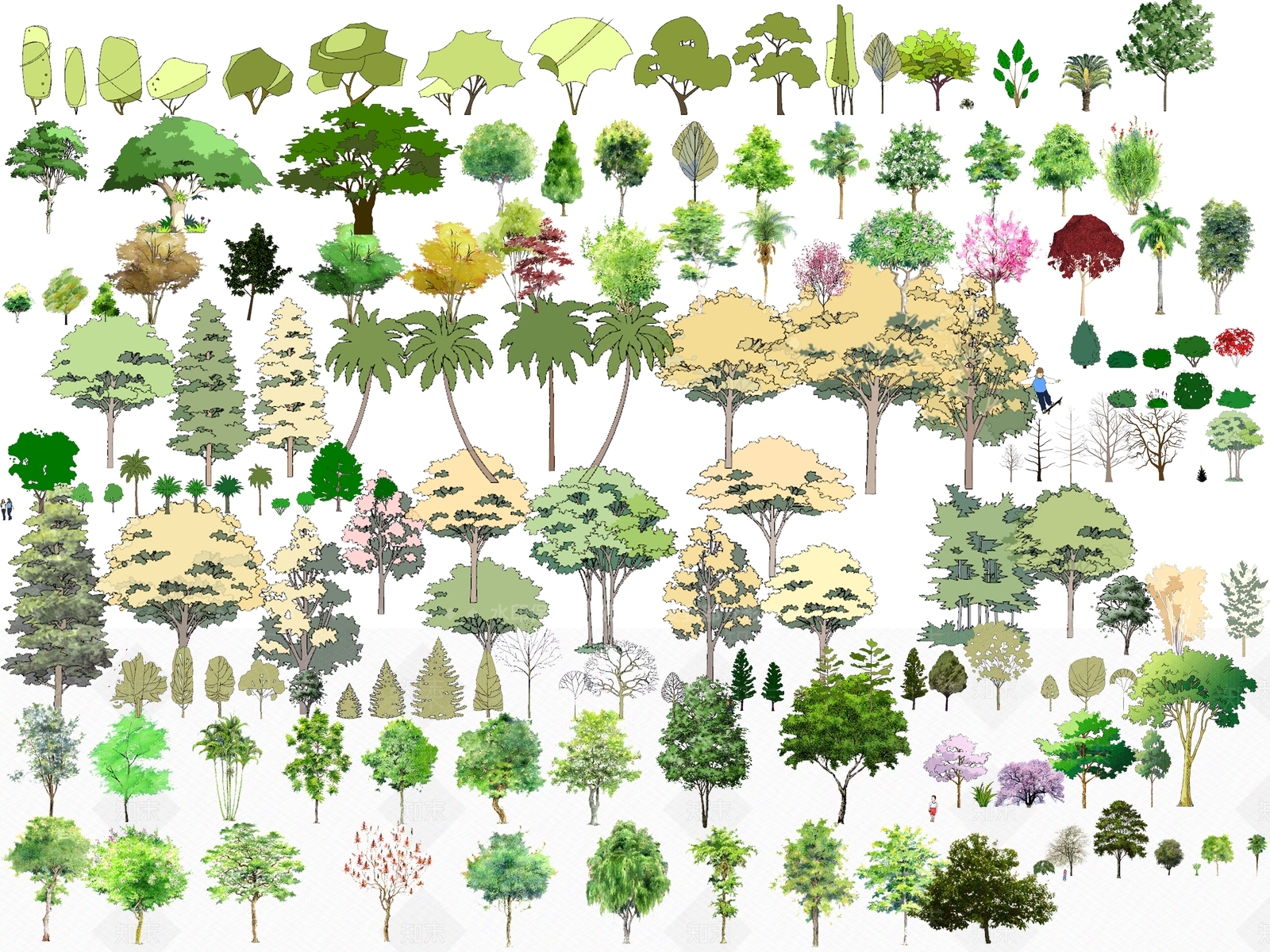 现代风格手绘植物组合SU模型下载【ID:154935638】