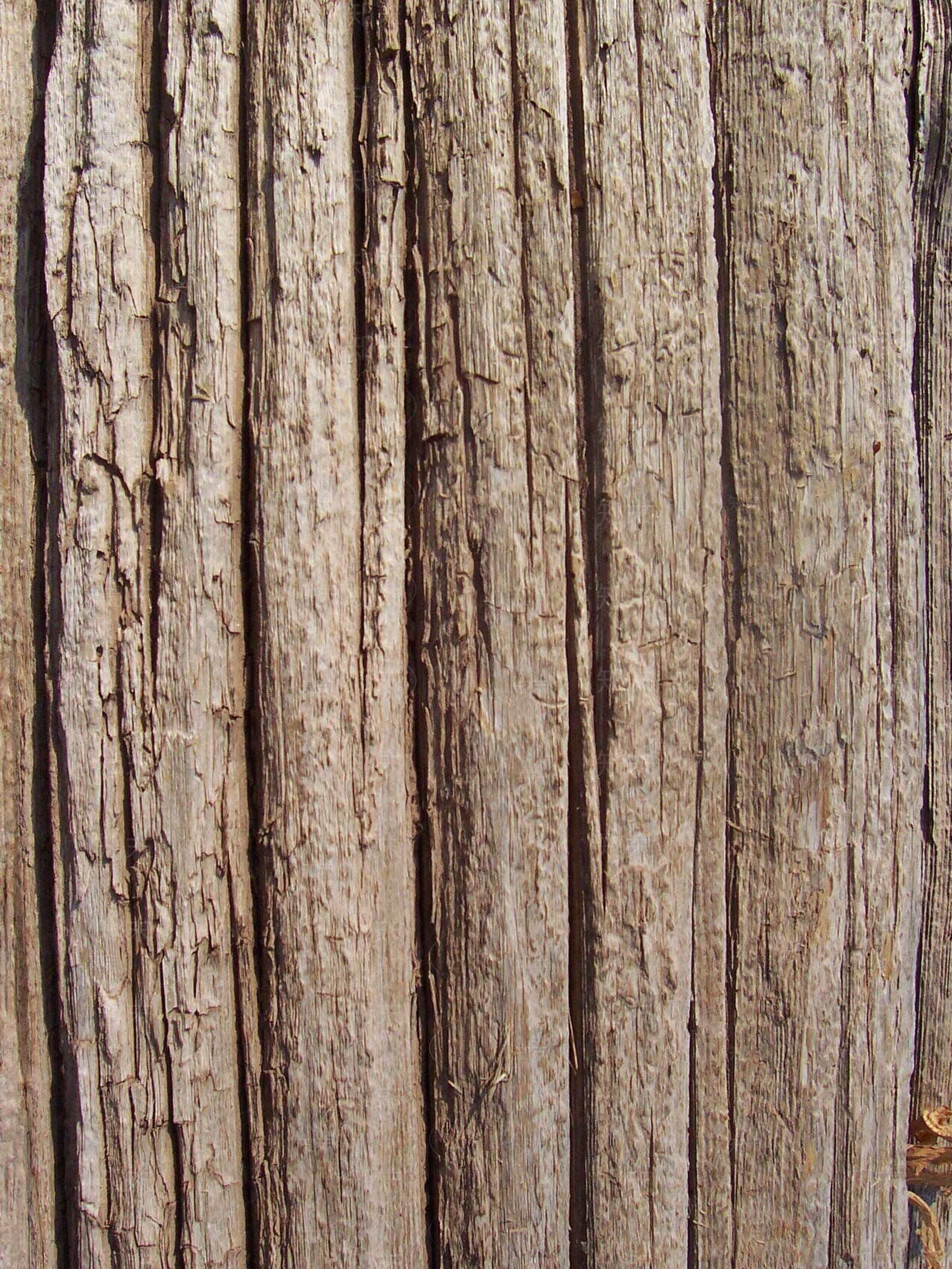 树皮贴图下载【ID:954964234】