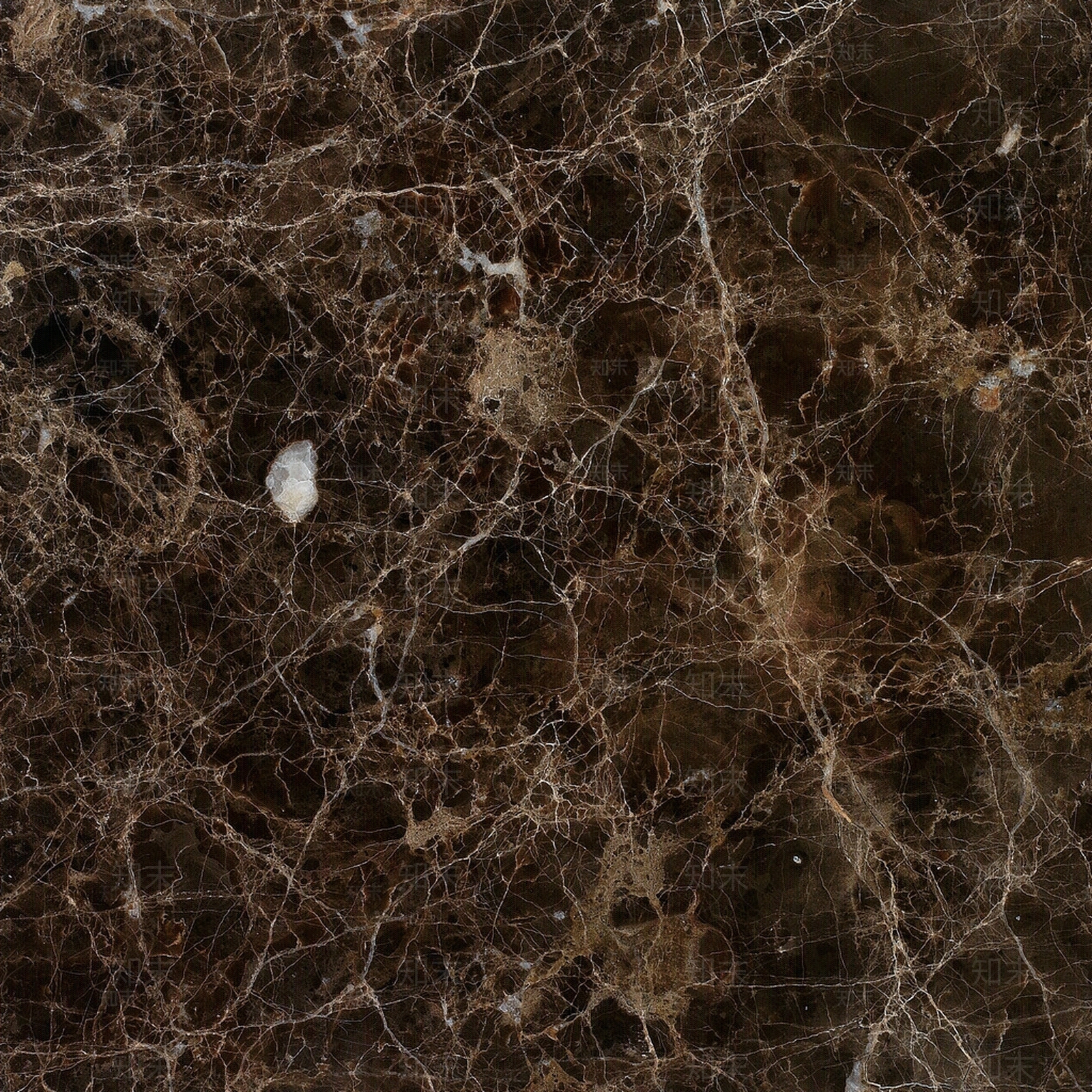 啡网纹贴图下载【ID:254973660】