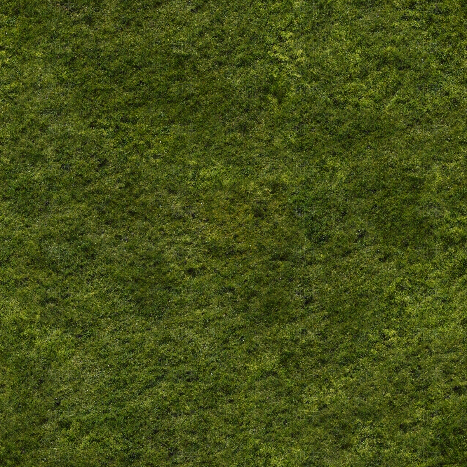 草坪贴图下载【ID:855029476】