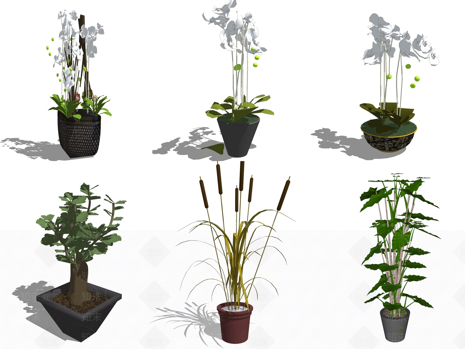 新中式风格室内植物花卉SU模型下载【ID:155298876】