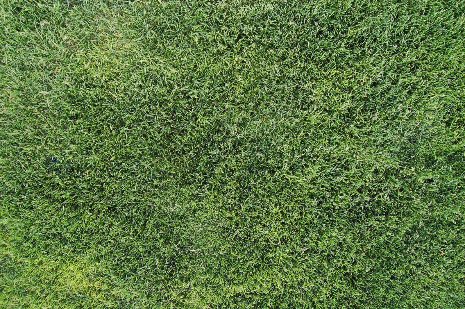 草地草地jpg屋顶绿化 广场铺装高清草地贴图查看更多