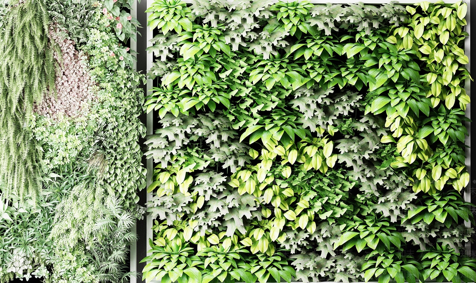 北欧植物盆栽3D模型下载【ID:455434272】