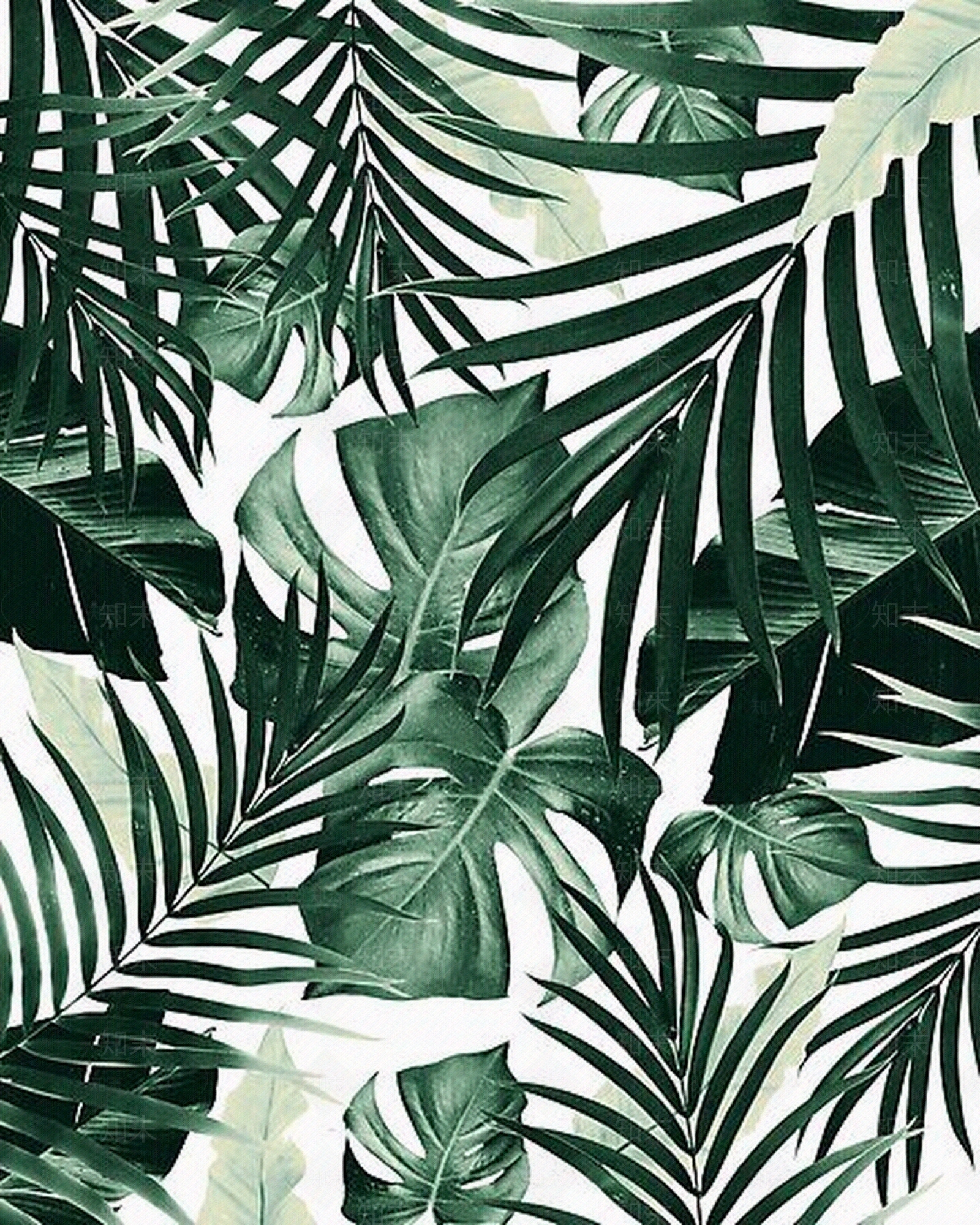 印花壁纸热带植物图案墙纸贴图下载 知末网贴图库